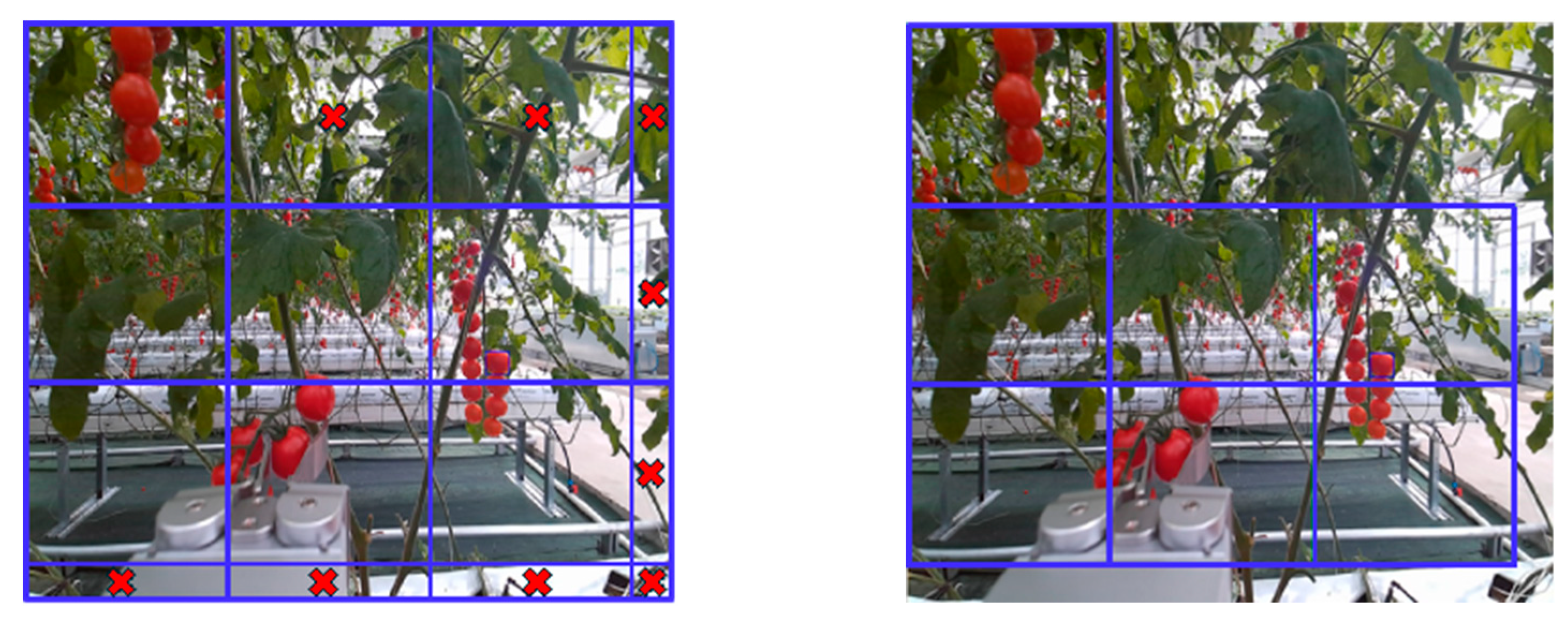 Agronomy 14 02320 g005