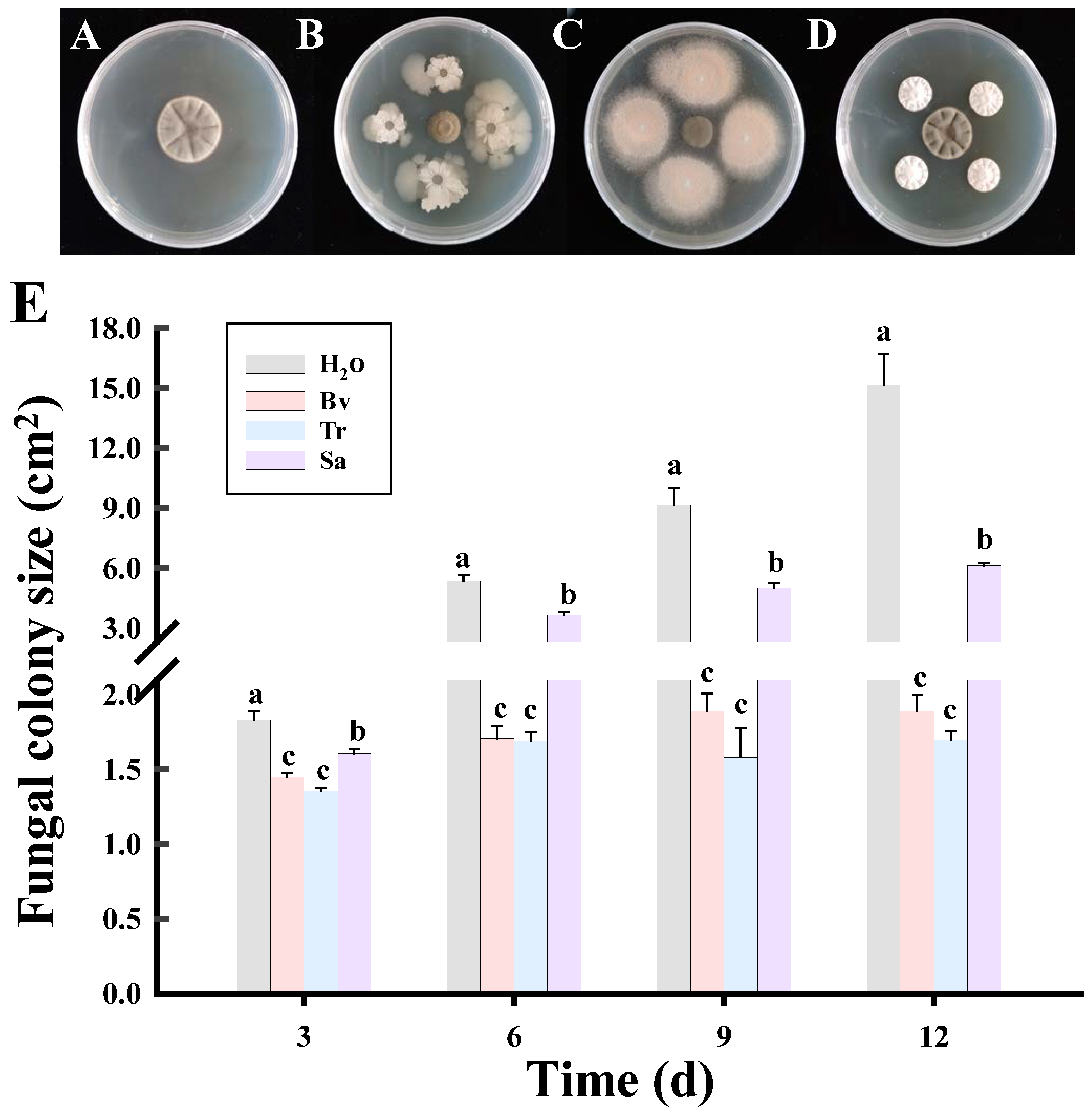 Agronomy 14 02330 g004