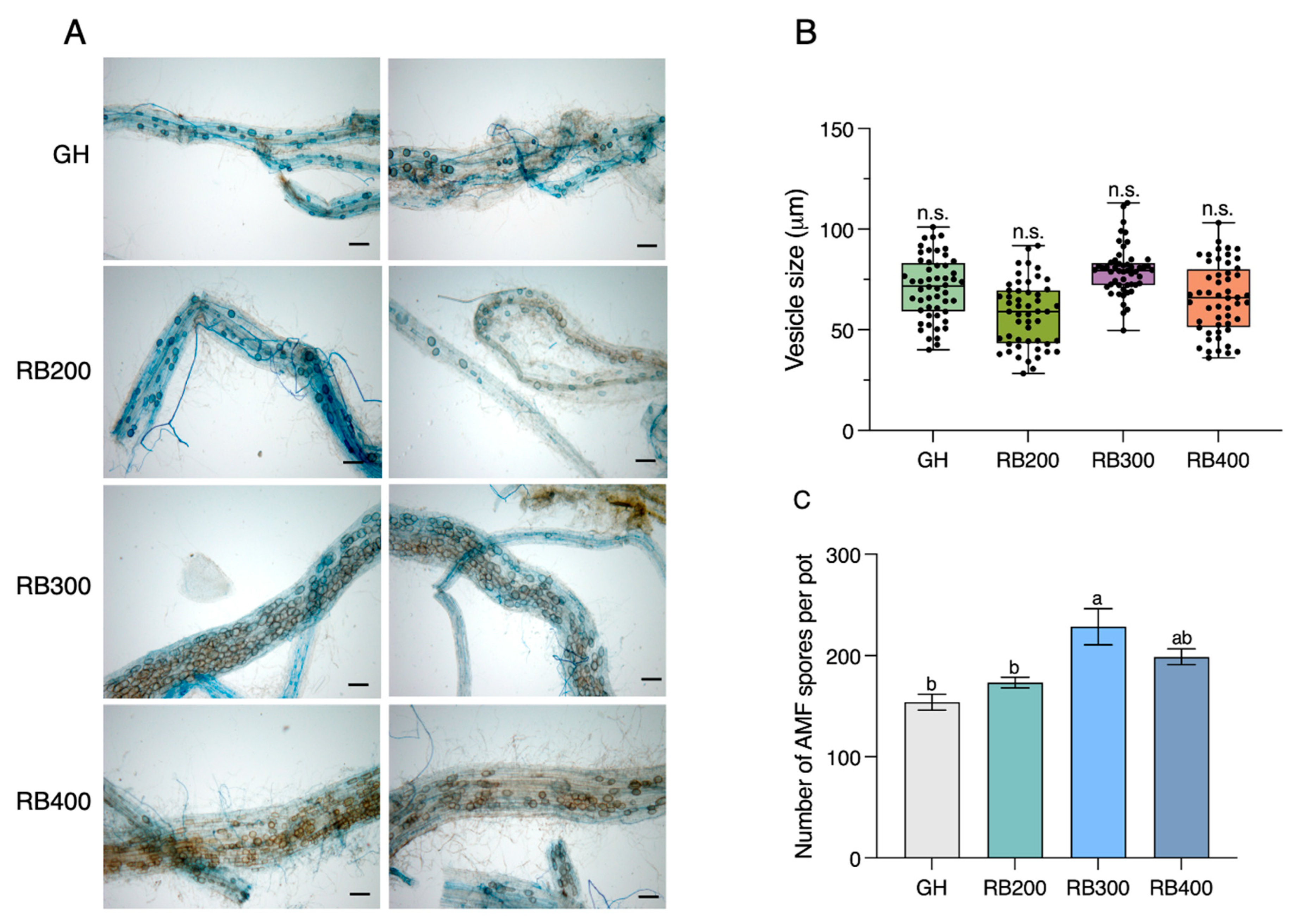 Agronomy 14 02342 g002 Agronomy 14 02342 g002