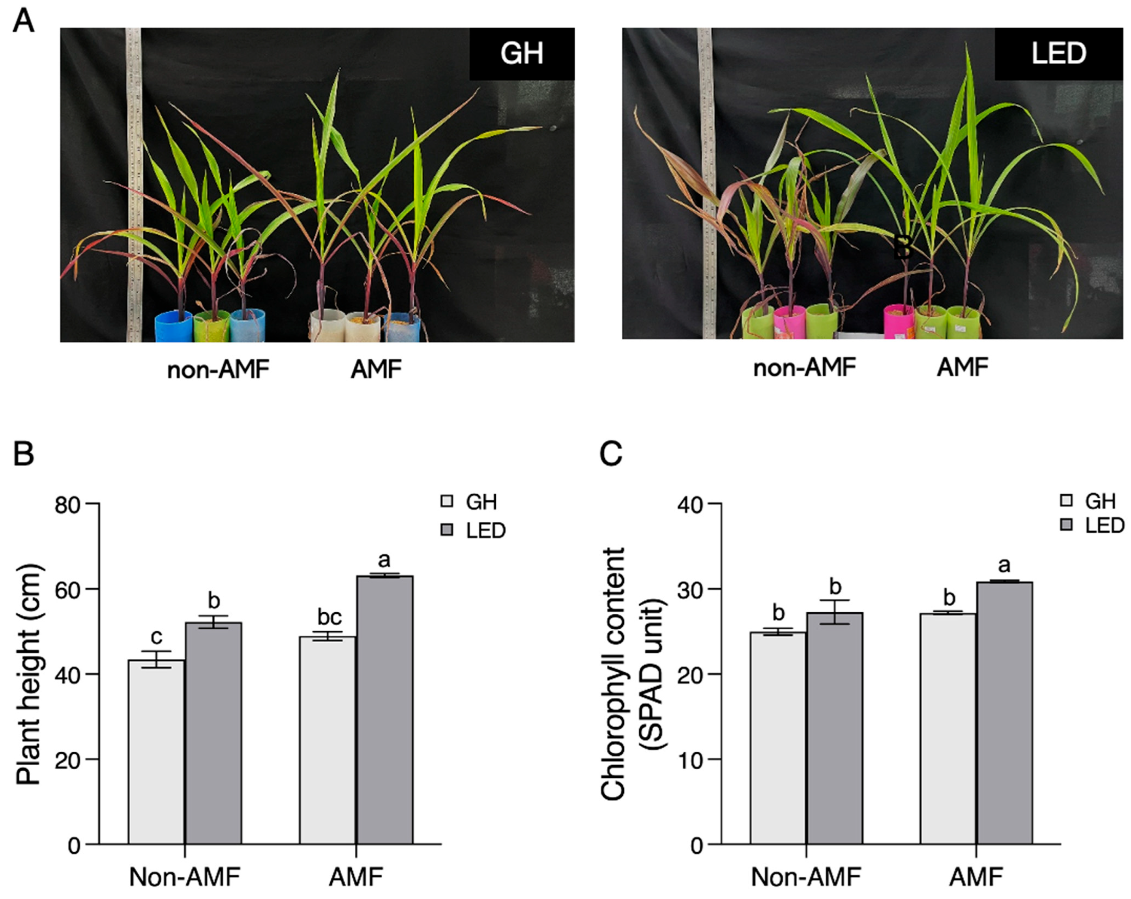 Agronomy 14 02342 g003 Agronomy 14 02342 g003