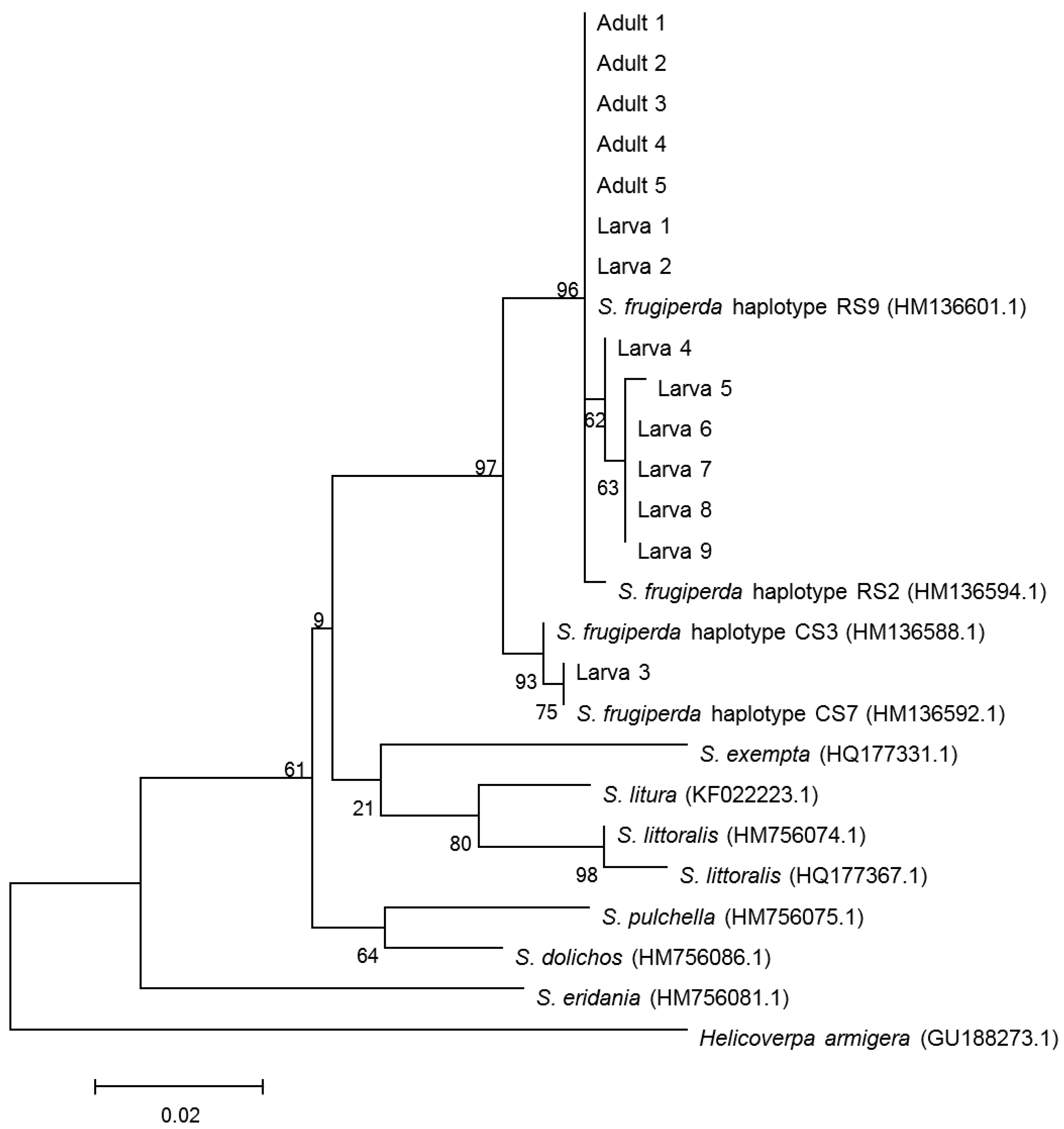 Agronomy 14 02344 g001