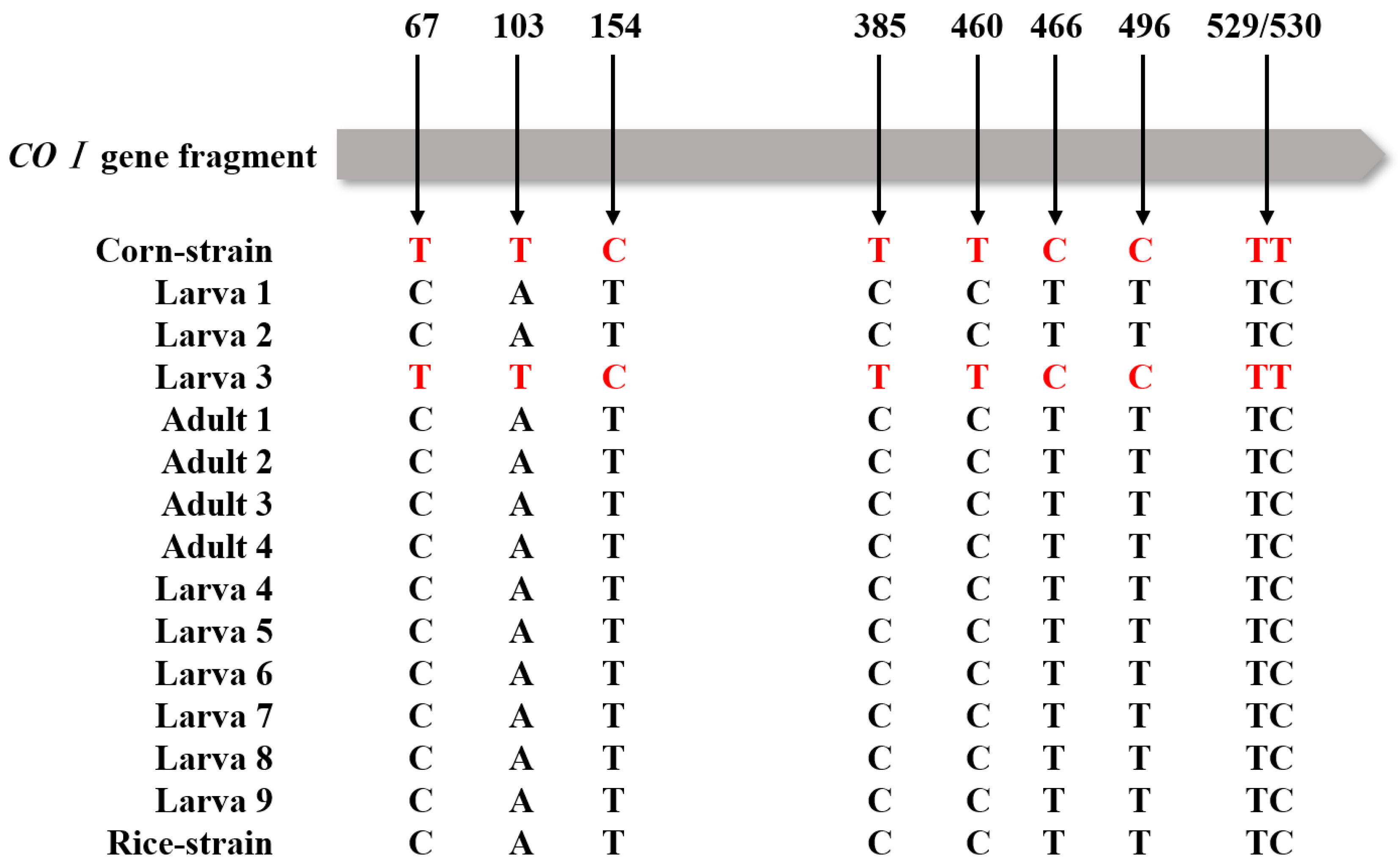 Agronomy 14 02344 g002