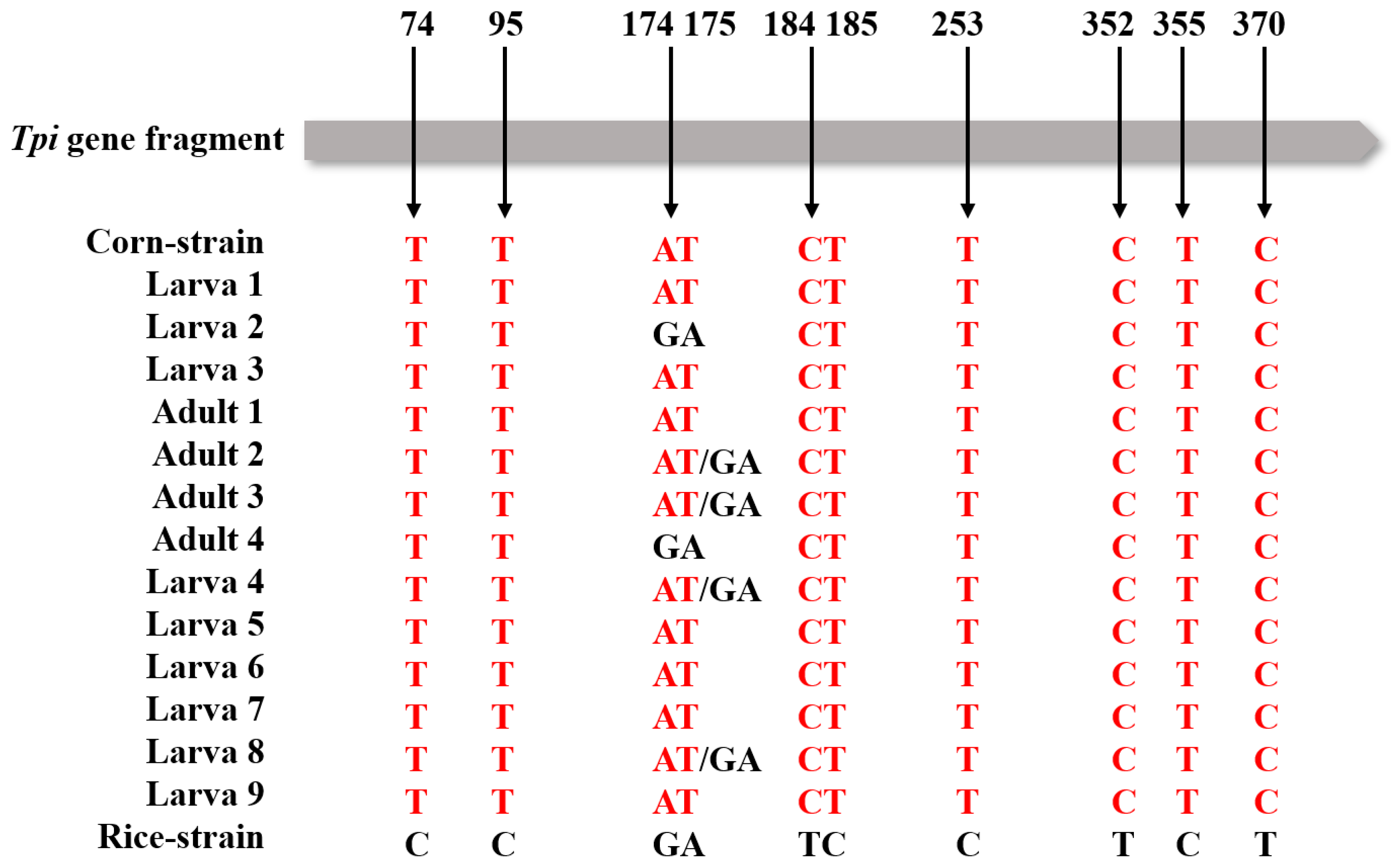 Agronomy 14 02344 g003