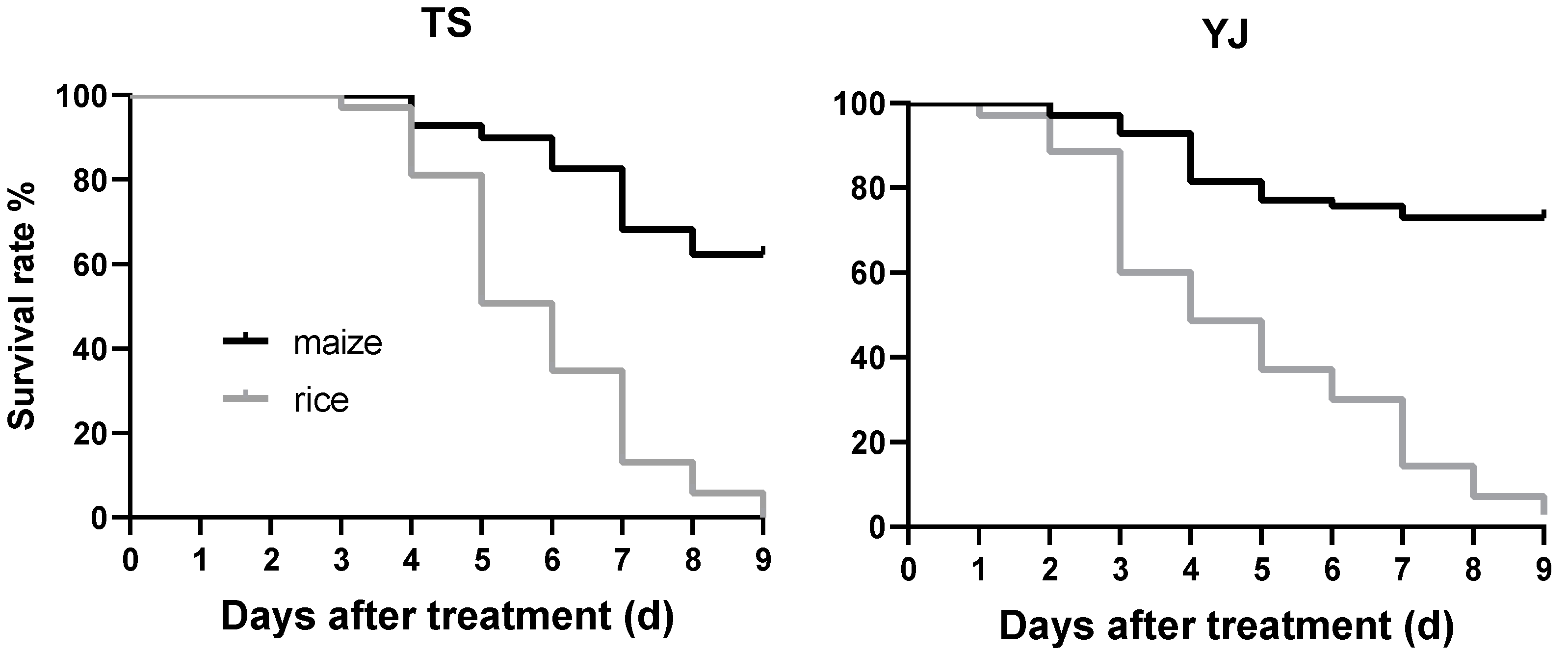 Agronomy 14 02344 g005