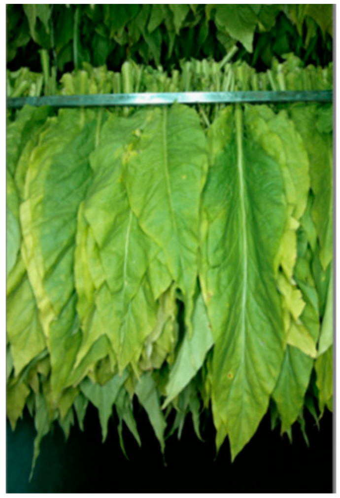 Agronomy 14 02347 g005