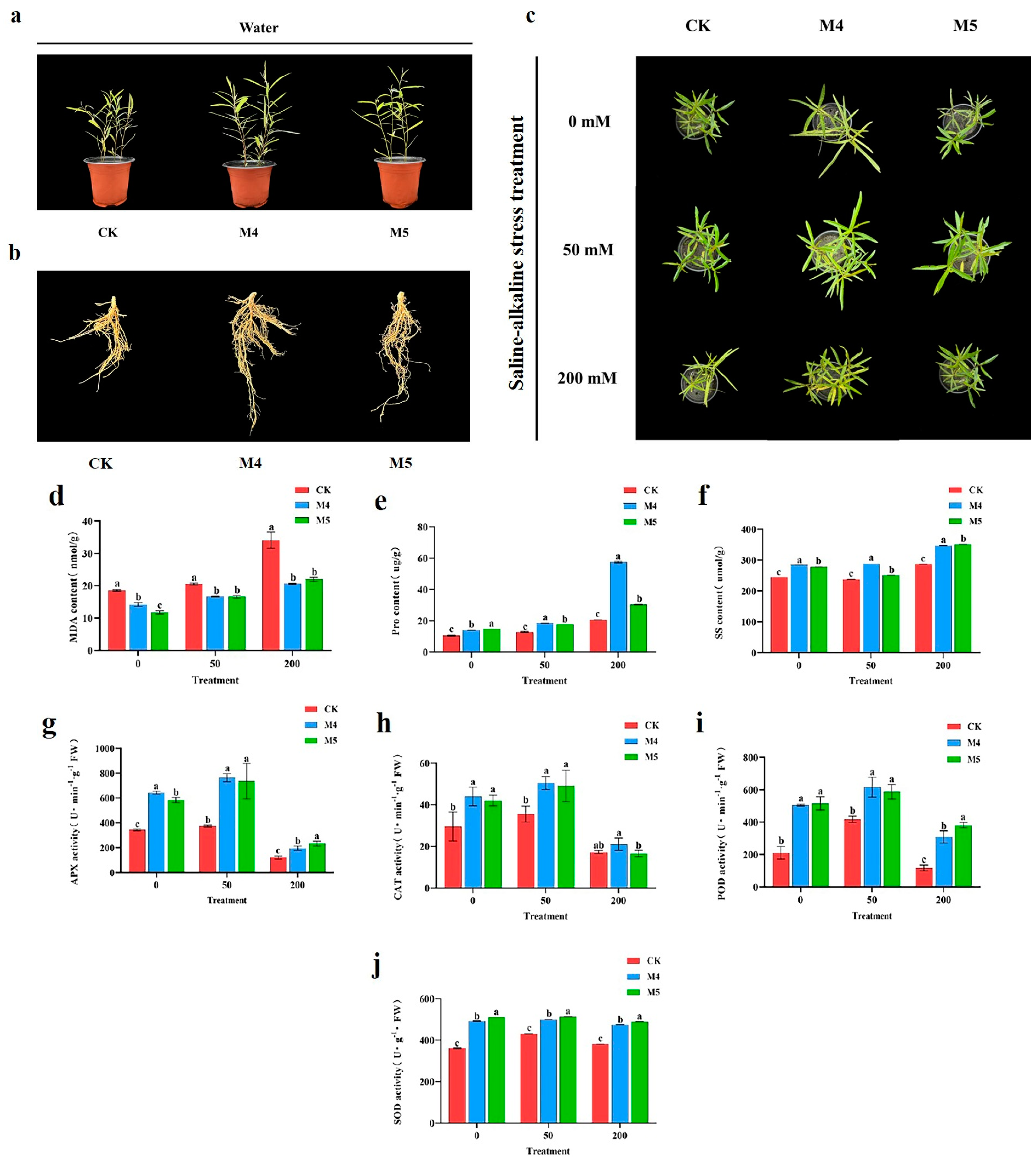 Agronomy 14 02358 g001