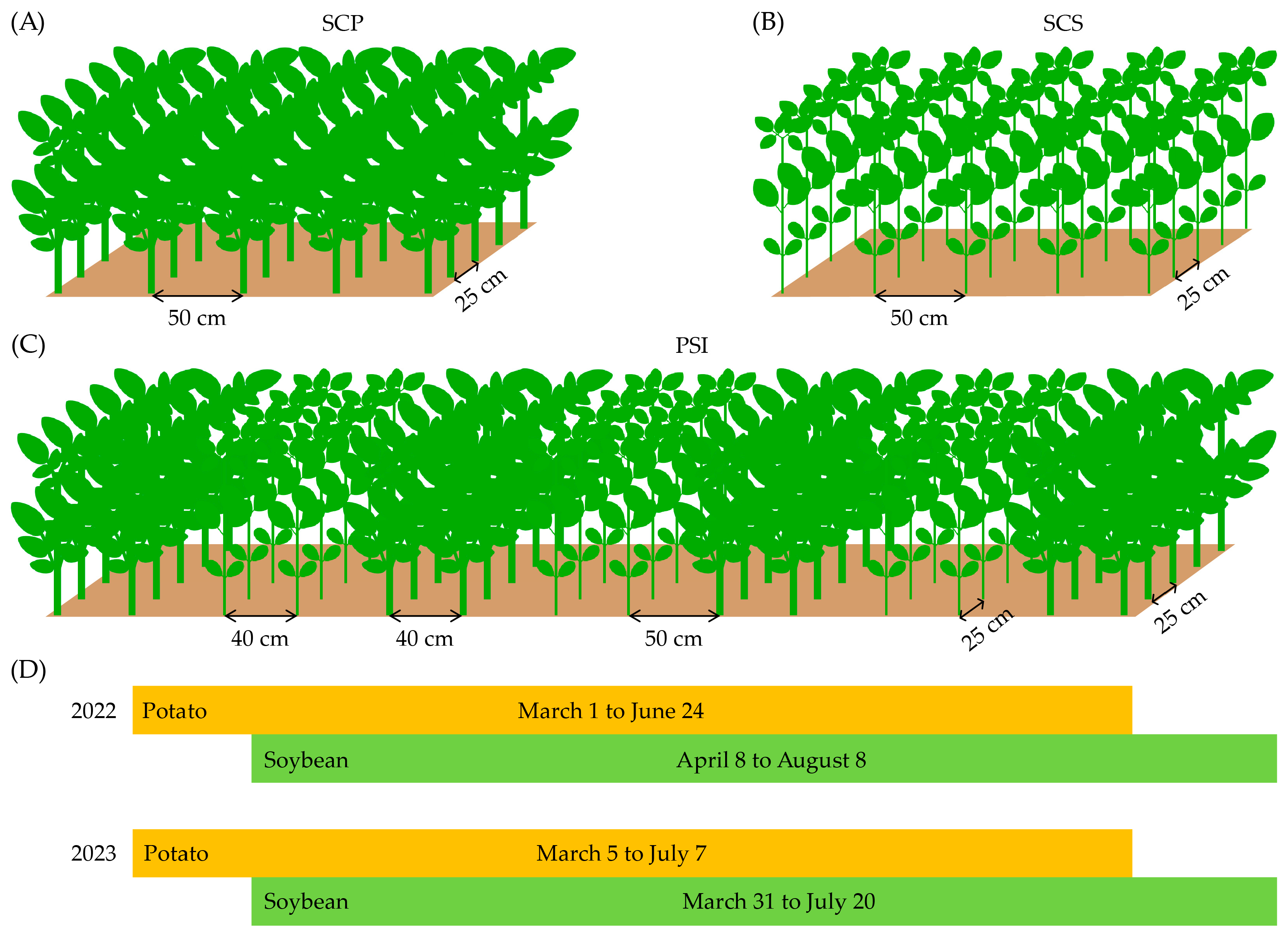 Agronomy 14 02362 g002
