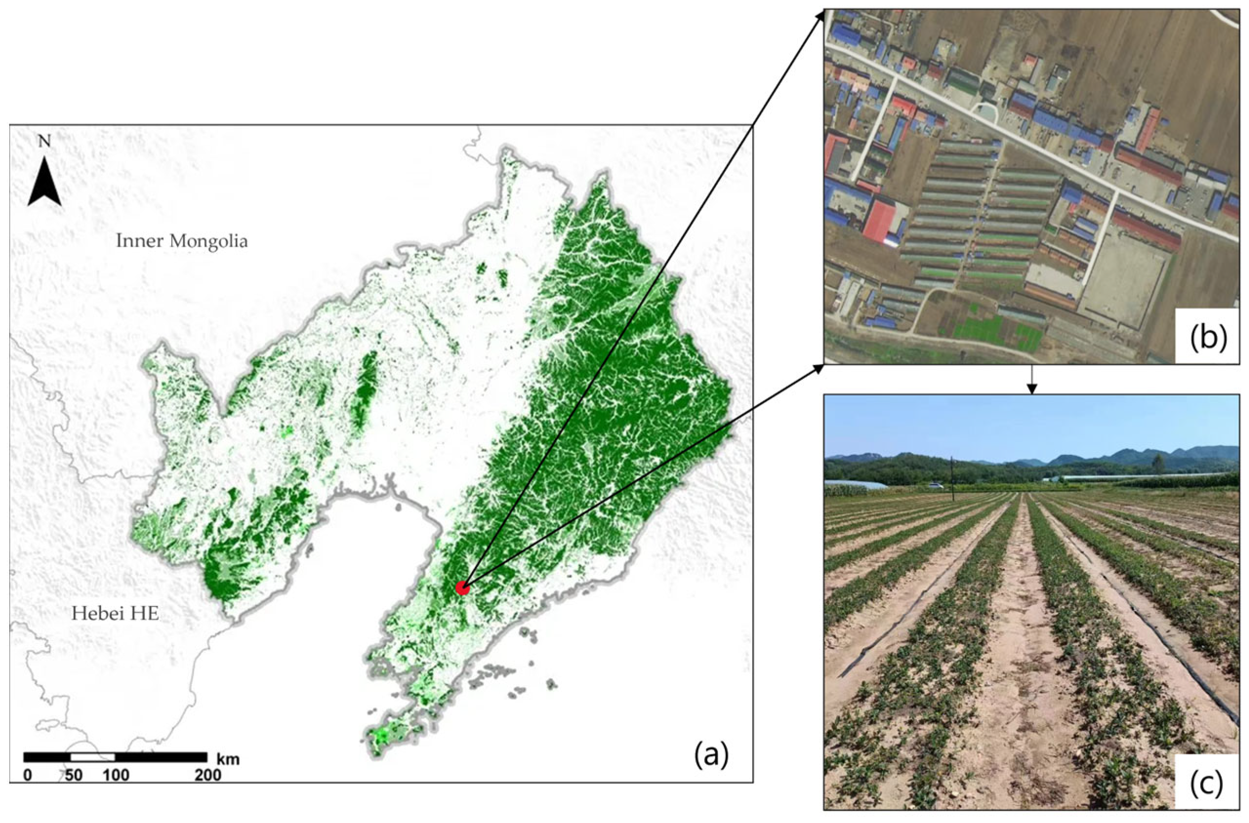 Agronomy 14 02363 g001 Agronomy 14 02363 g001