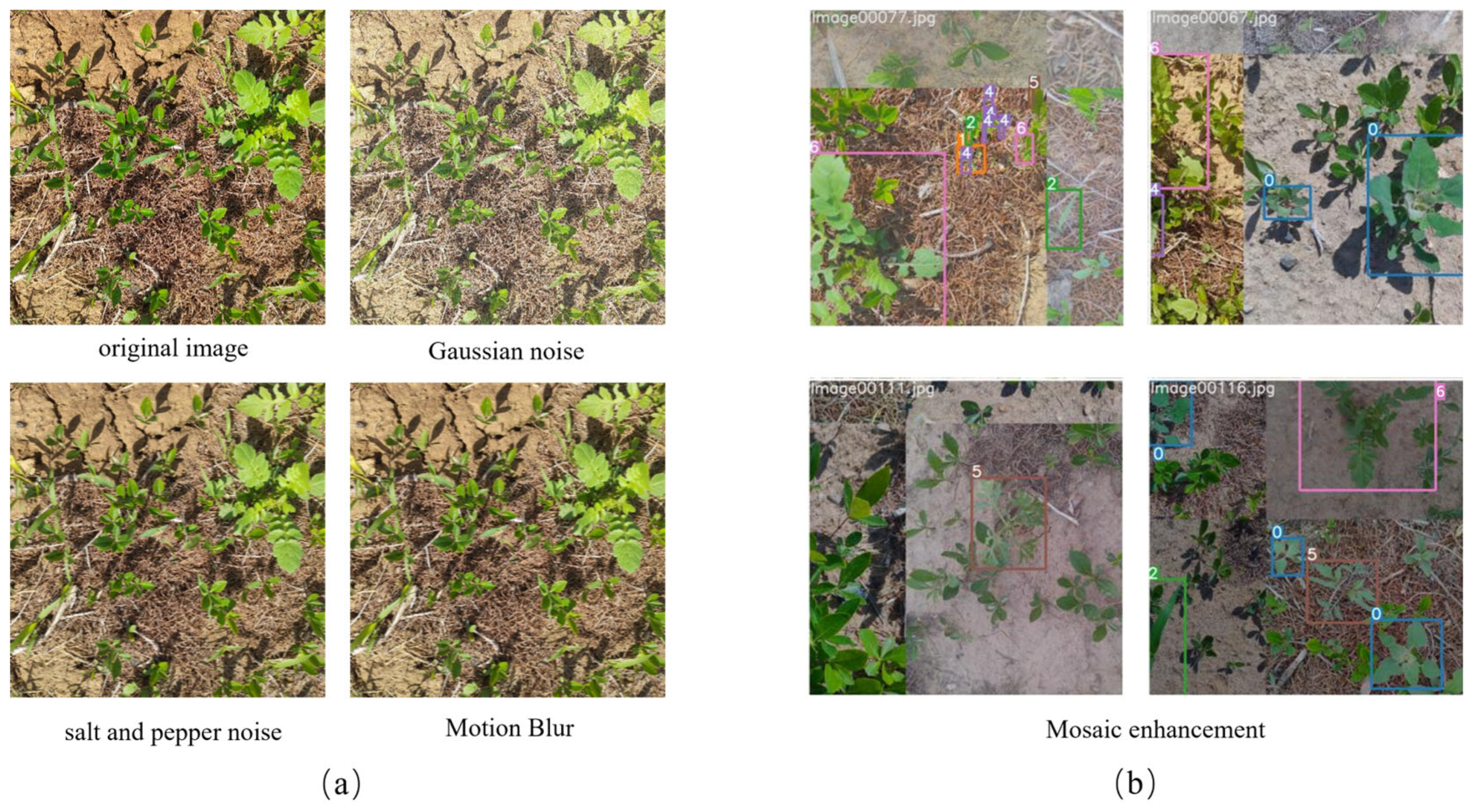 Agronomy 14 02363 g003 Agronomy 14 02363 g003
