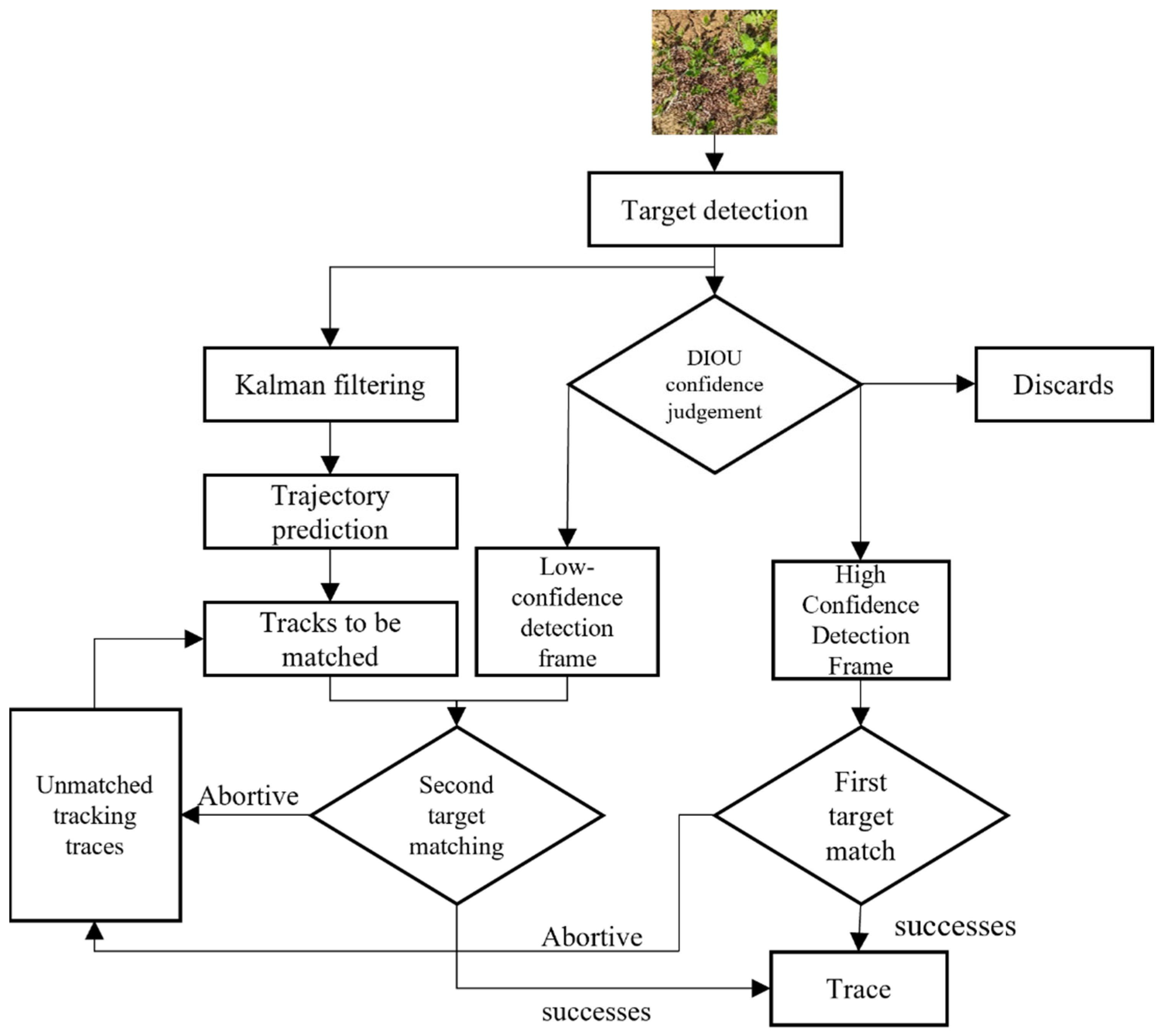 Agronomy 14 02363 g009 Agronomy 14 02363 g009
