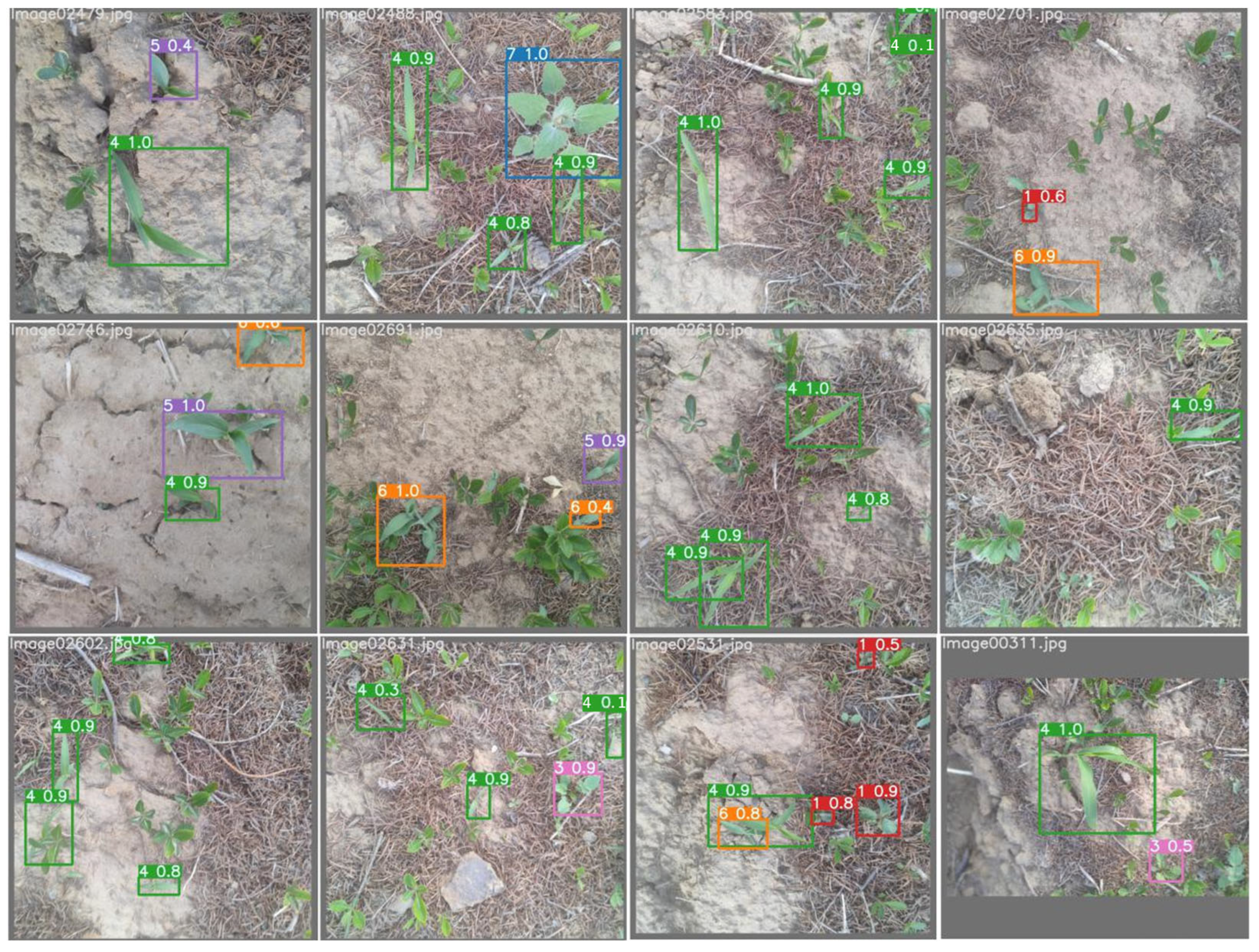 Agronomy 14 02363 g010 Agronomy 14 02363 g010