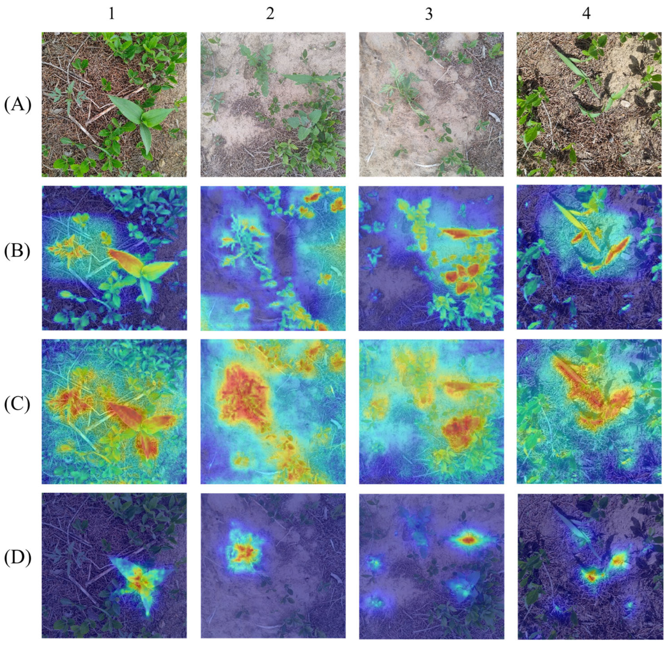 Agronomy 14 02363 g012 Agronomy 14 02363 g012