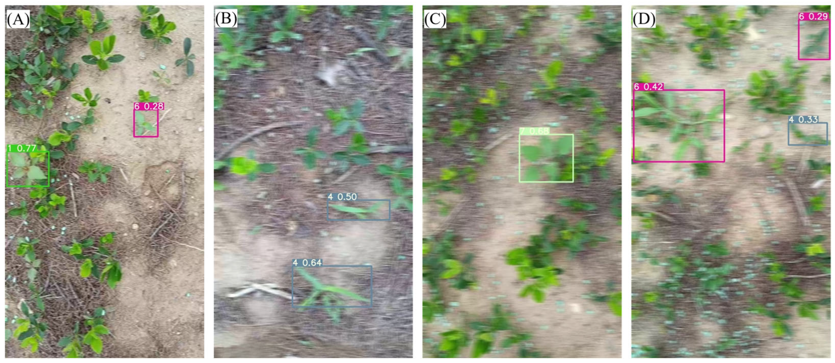Agronomy 14 02363 g014 Agronomy 14 02363 g014
