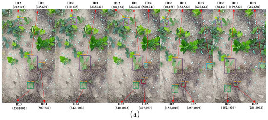 Agronomy 14 02363 g015a Agronomy 14 02363 g015a
