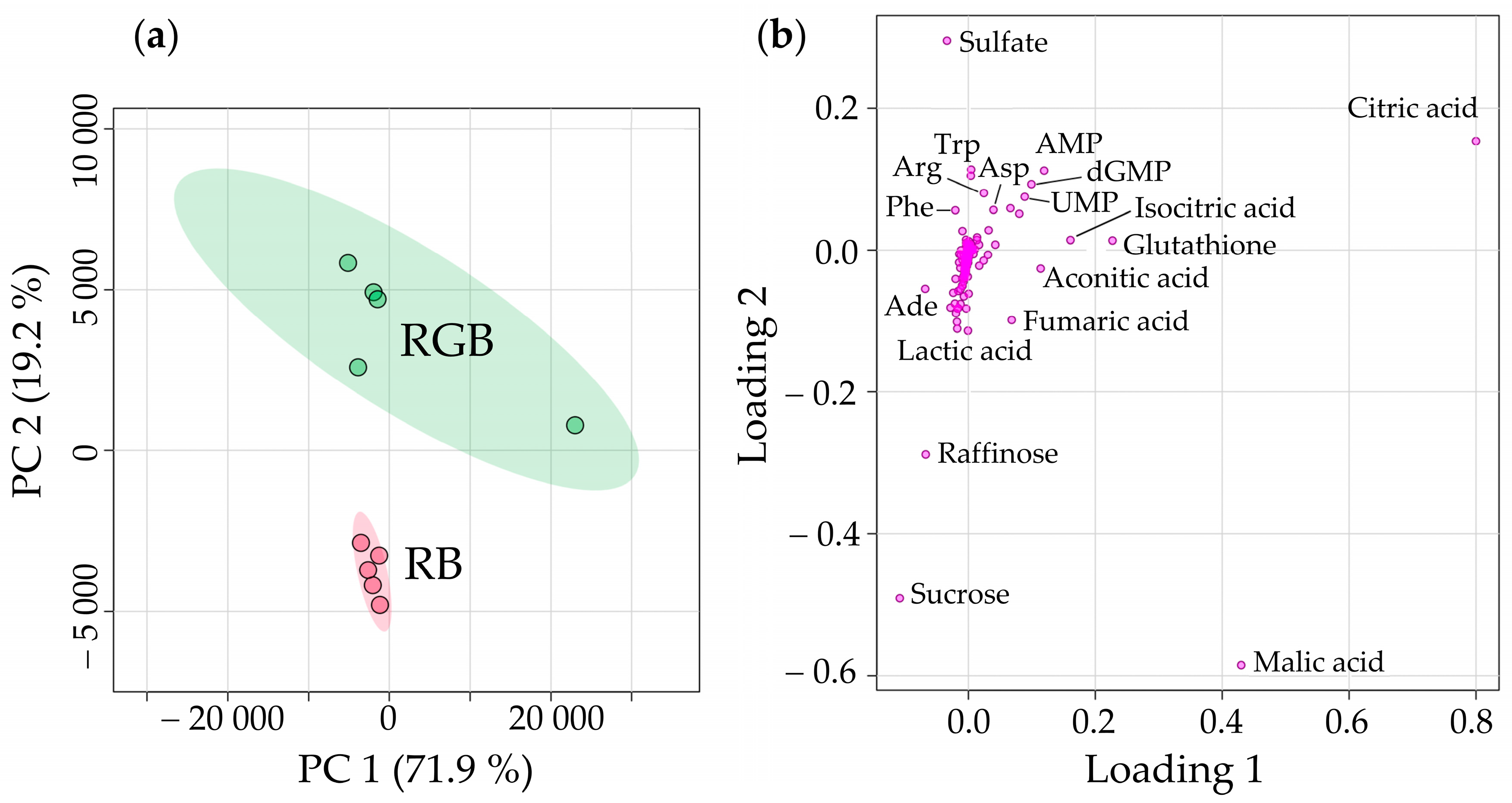 Agronomy 14 02367 g003