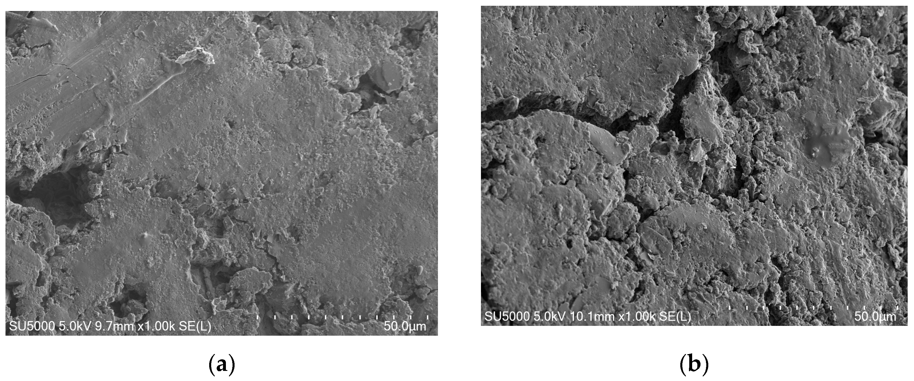 Agronomy 14 02371 g011