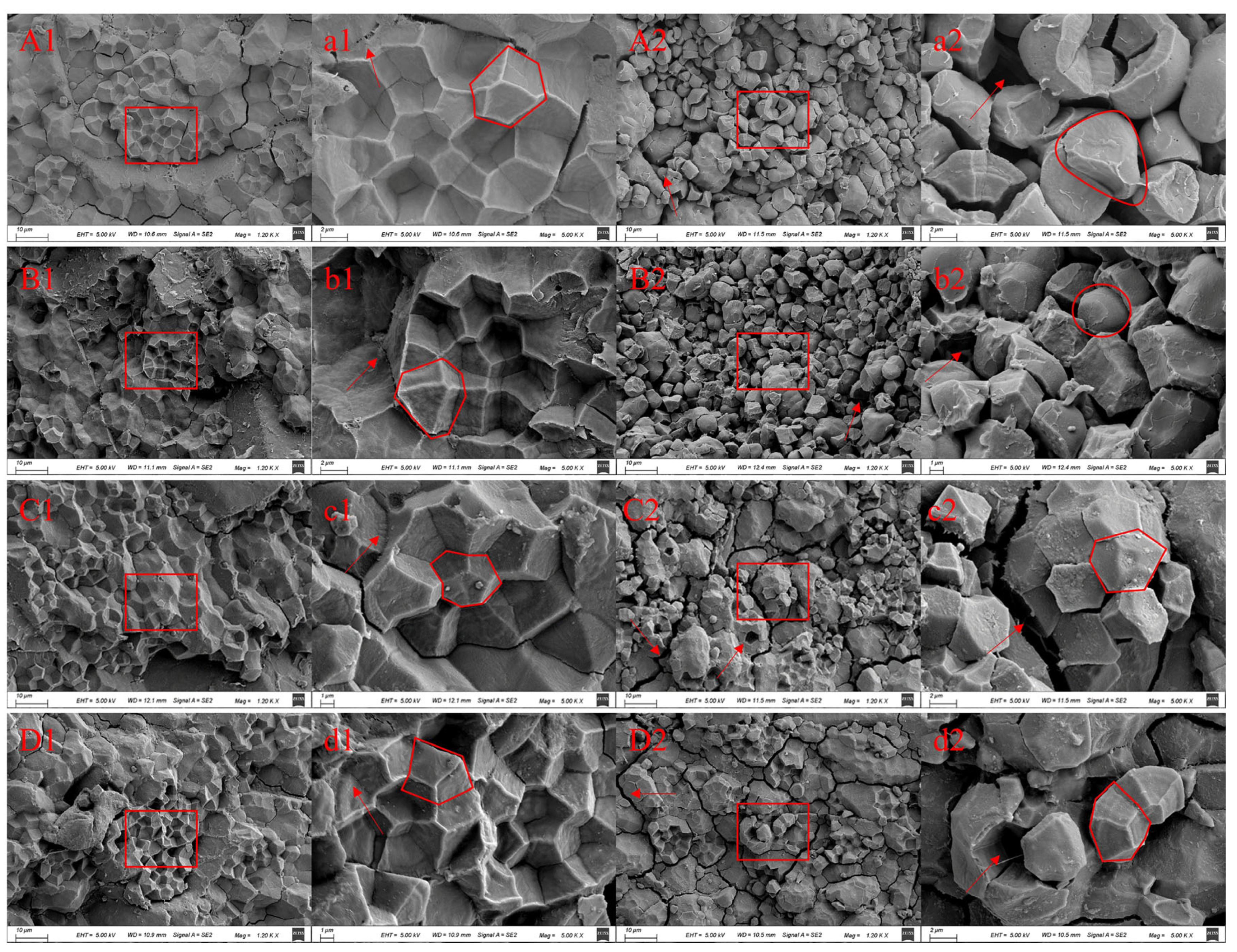 Agronomy 14 02377 g002