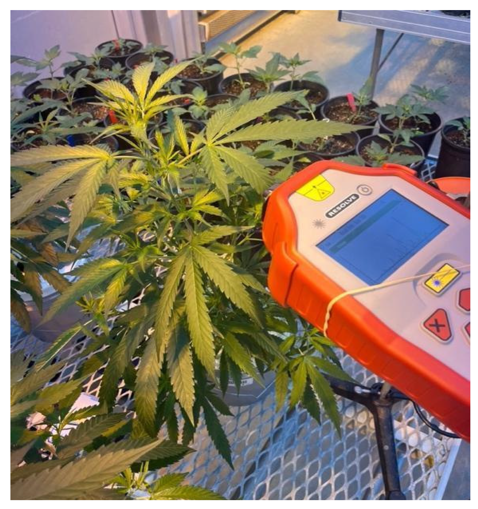 Agronomy 14 02390 g001