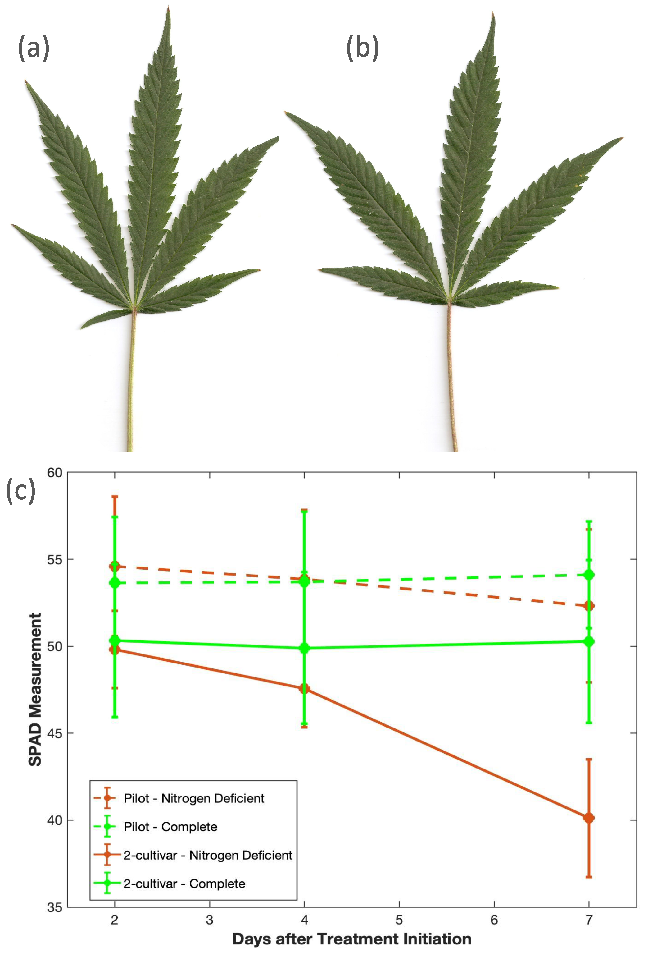 Agronomy 14 02390 g004