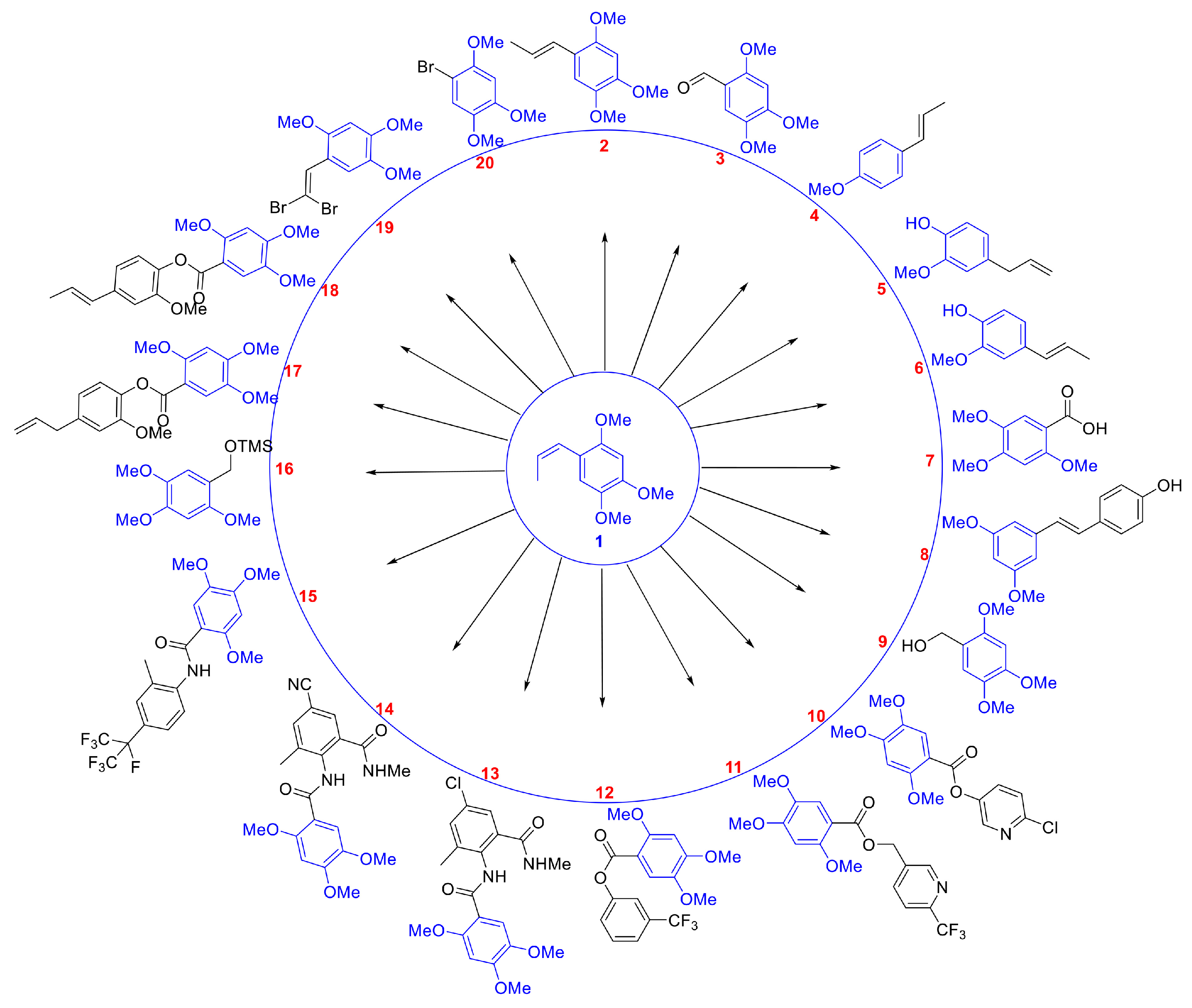Agronomy 14 02420 g001