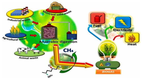Agronomy 14 02437 g001