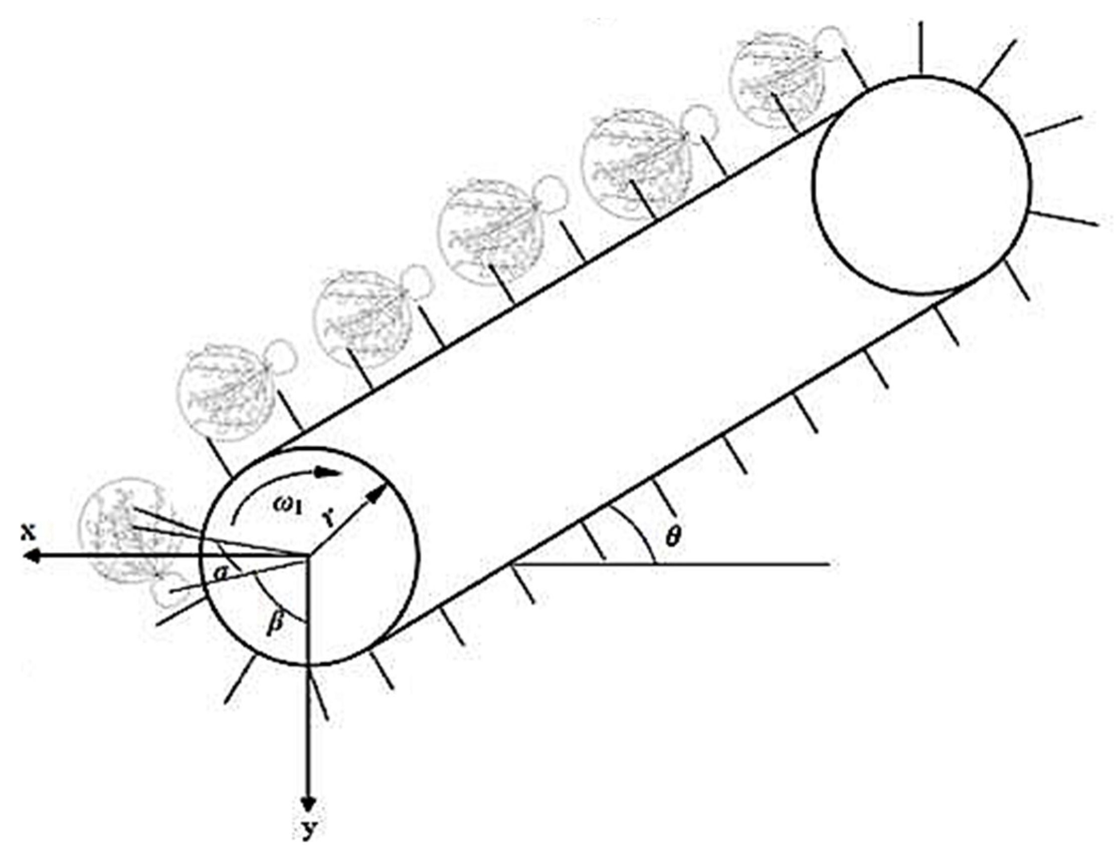 Agronomy 14 02447 g004