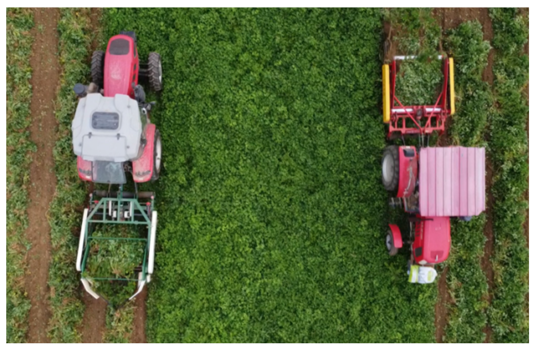 Agronomy 14 02447 g010