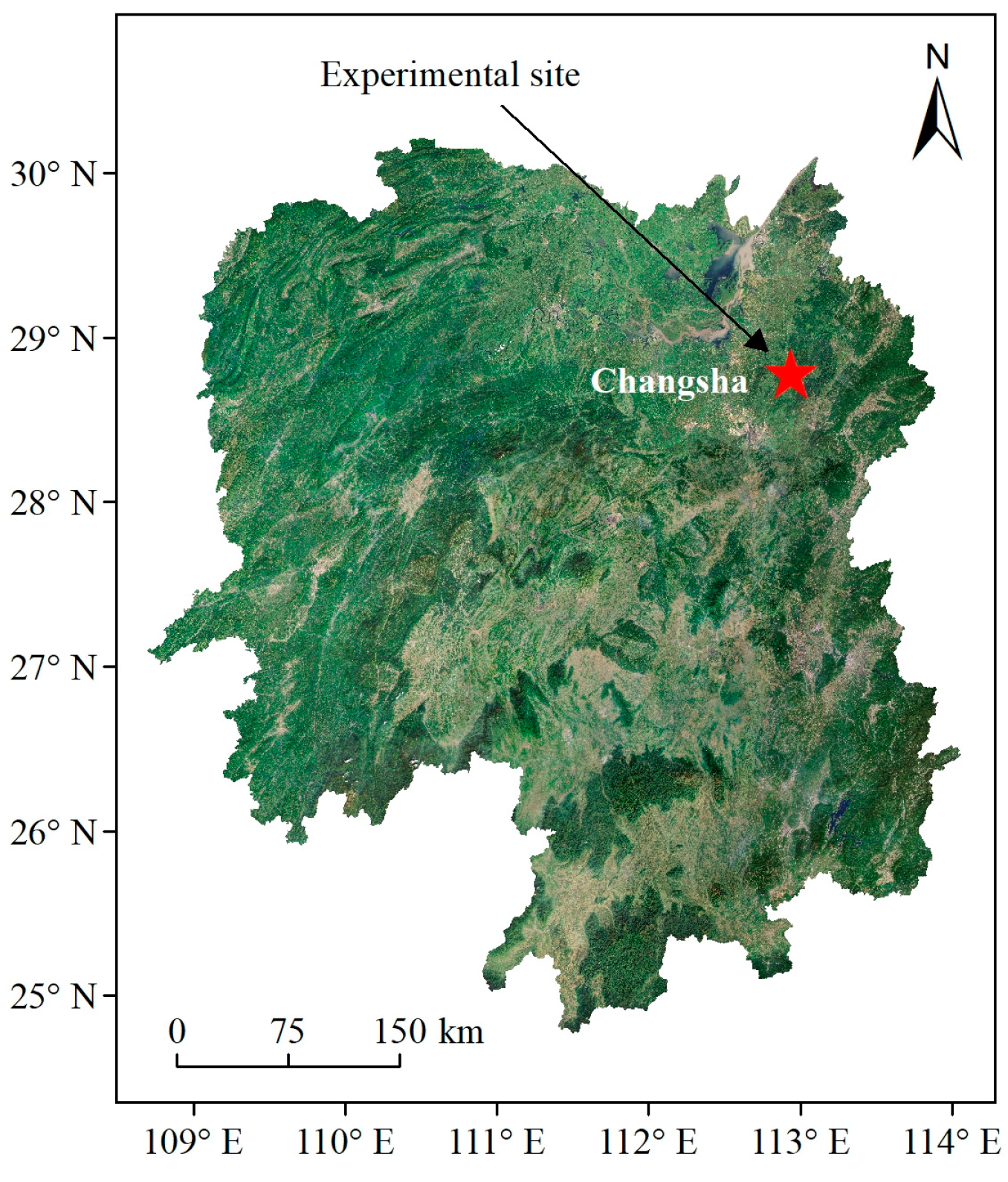 Agronomy 14 02453 g001
