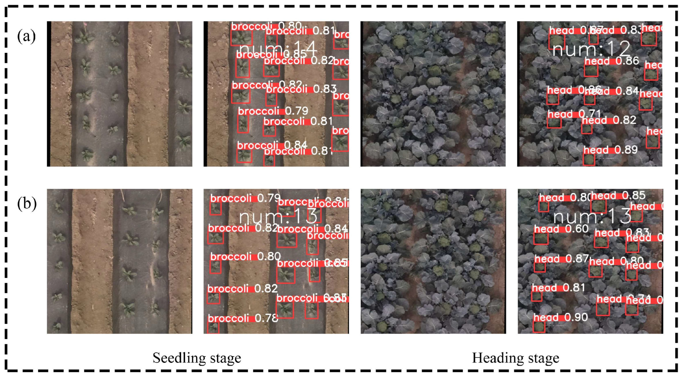 Agronomy 14 02496 g003