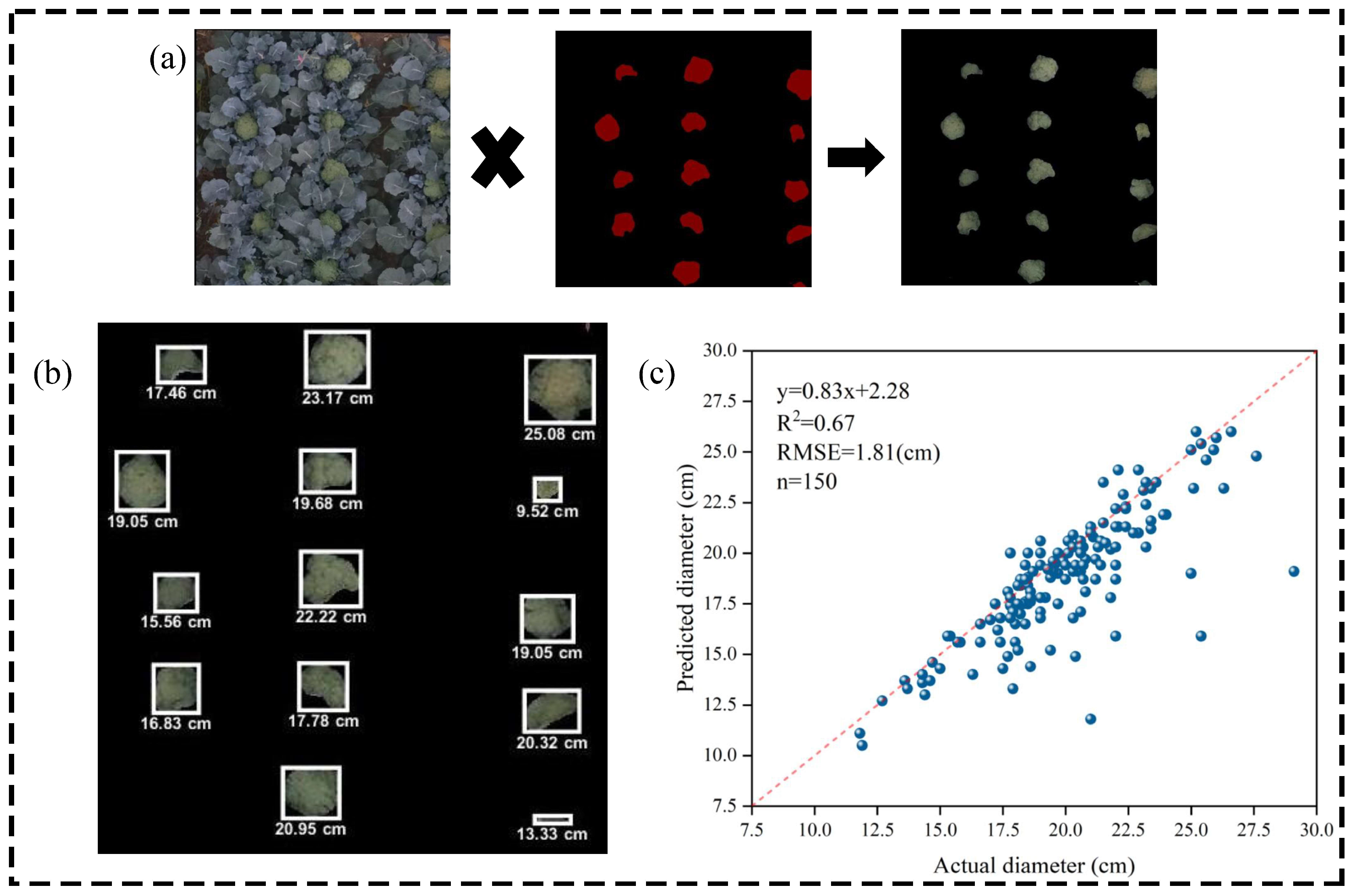 Agronomy 14 02496 g005