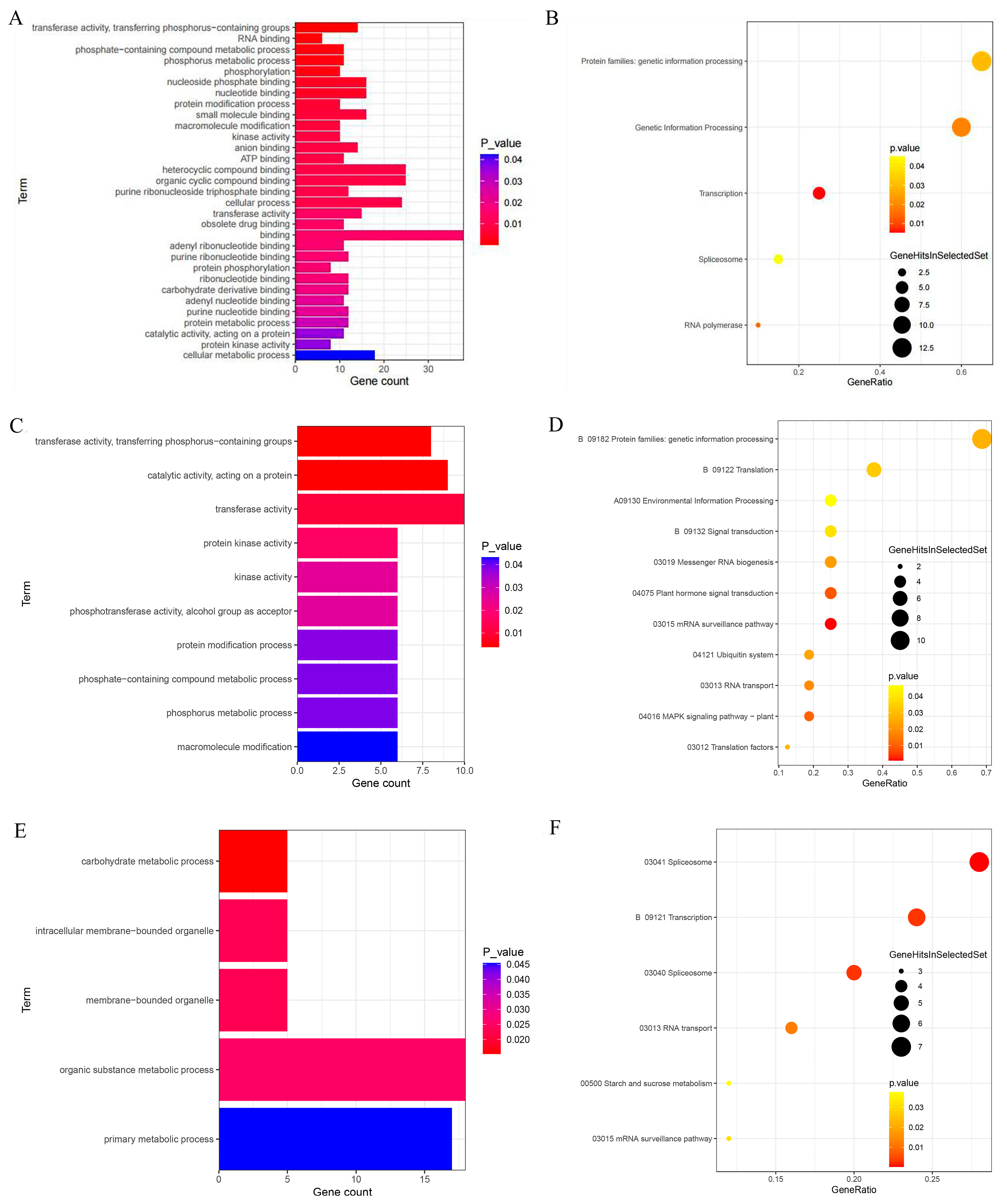 Agronomy 14 02500 g003