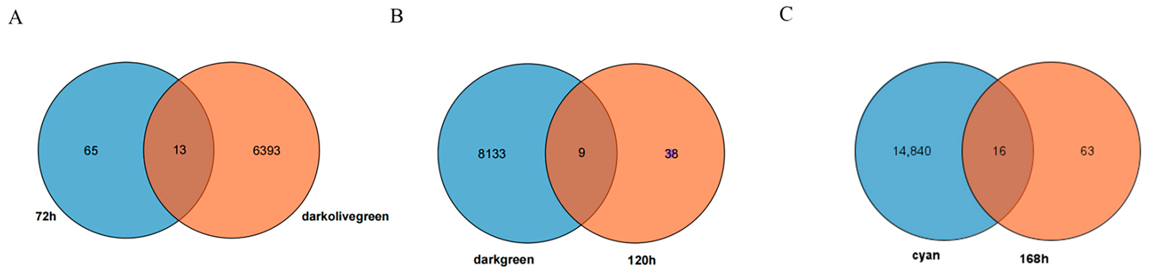 Agronomy 14 02500 g005