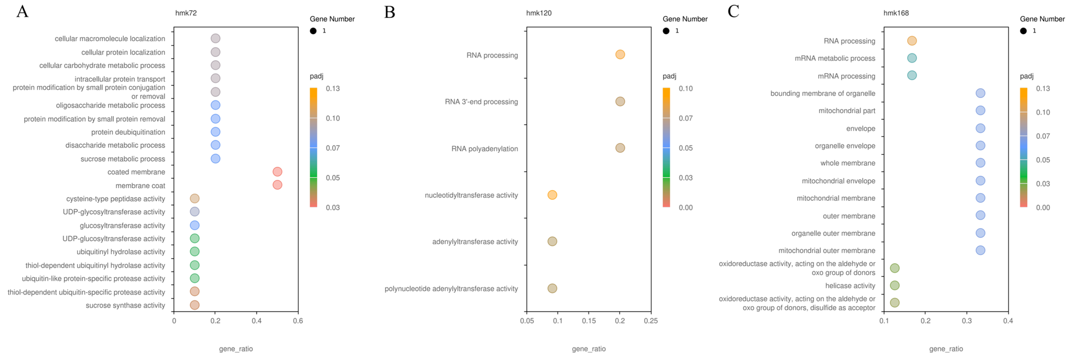 Agronomy 14 02500 g006