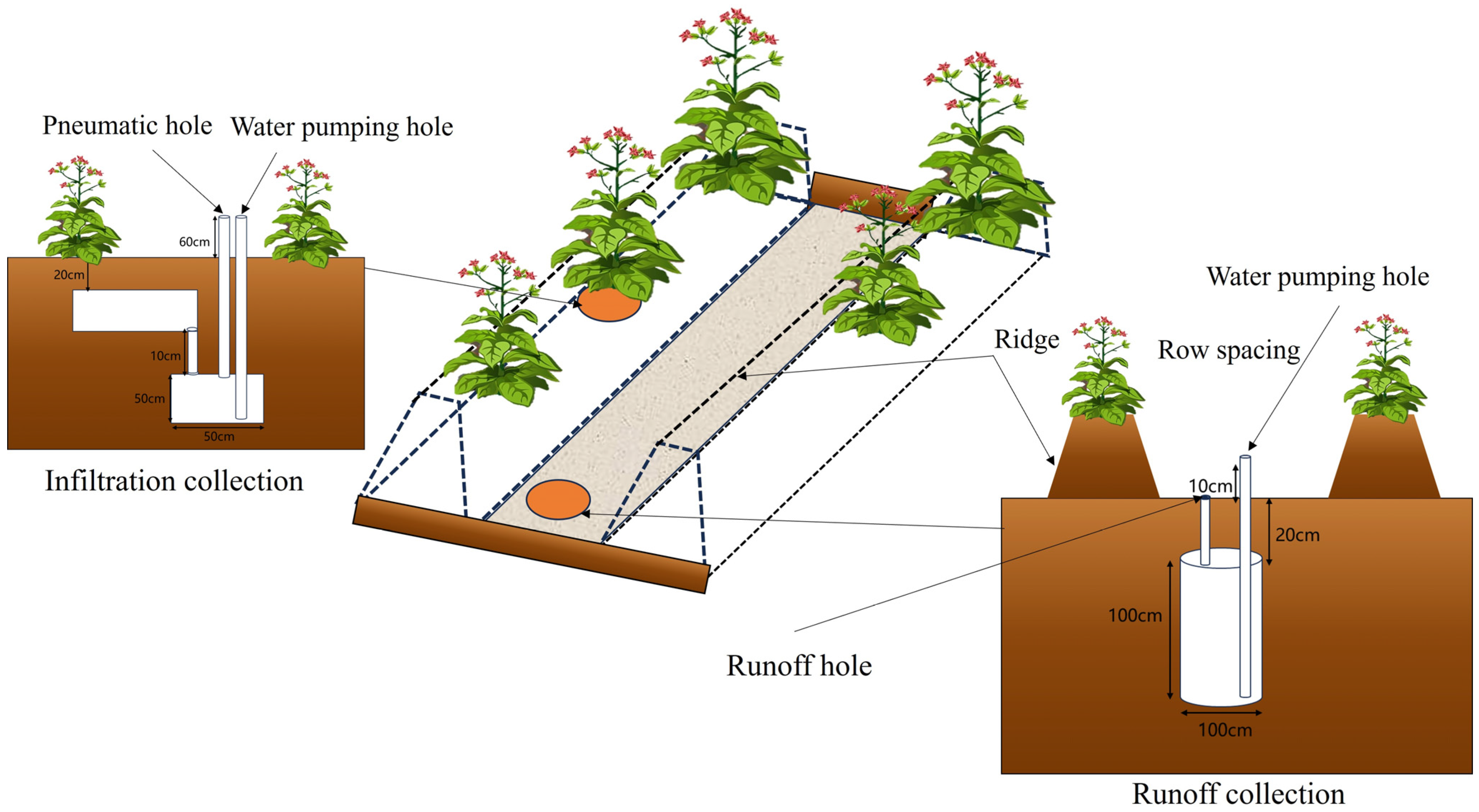 Agronomy 14 02532 g001 Agronomy 14 02532 g001