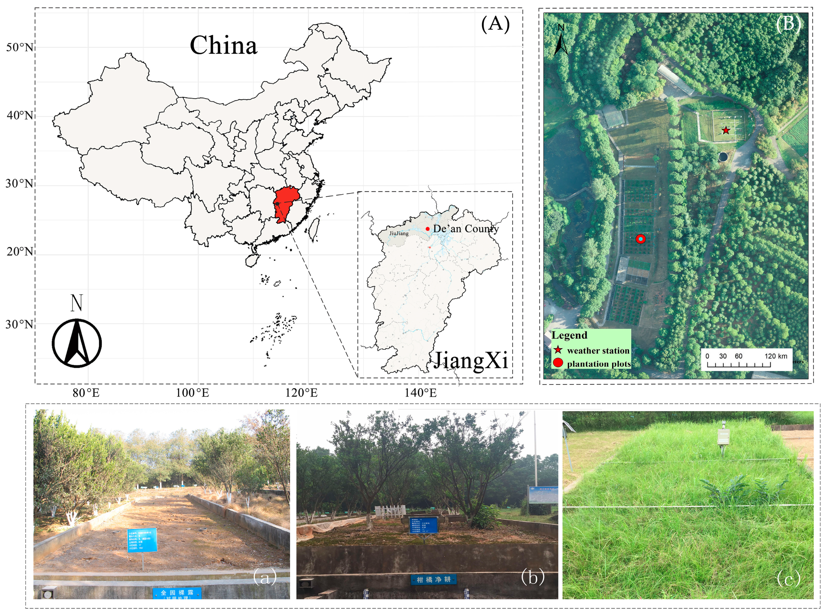 Agronomy 14 02563 g001