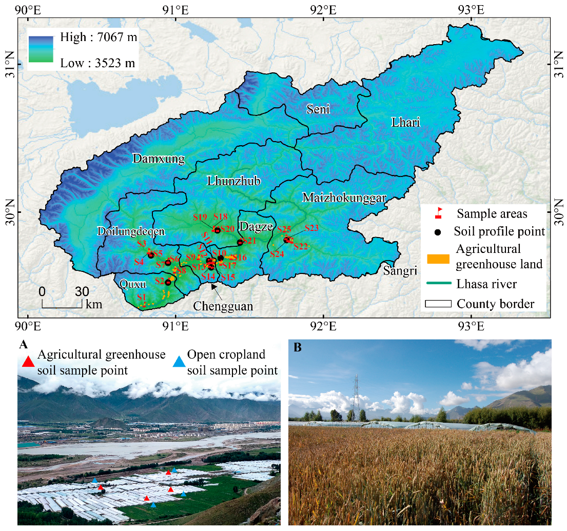 Agronomy 14 02708 g001 Agronomy 14 02708 g001