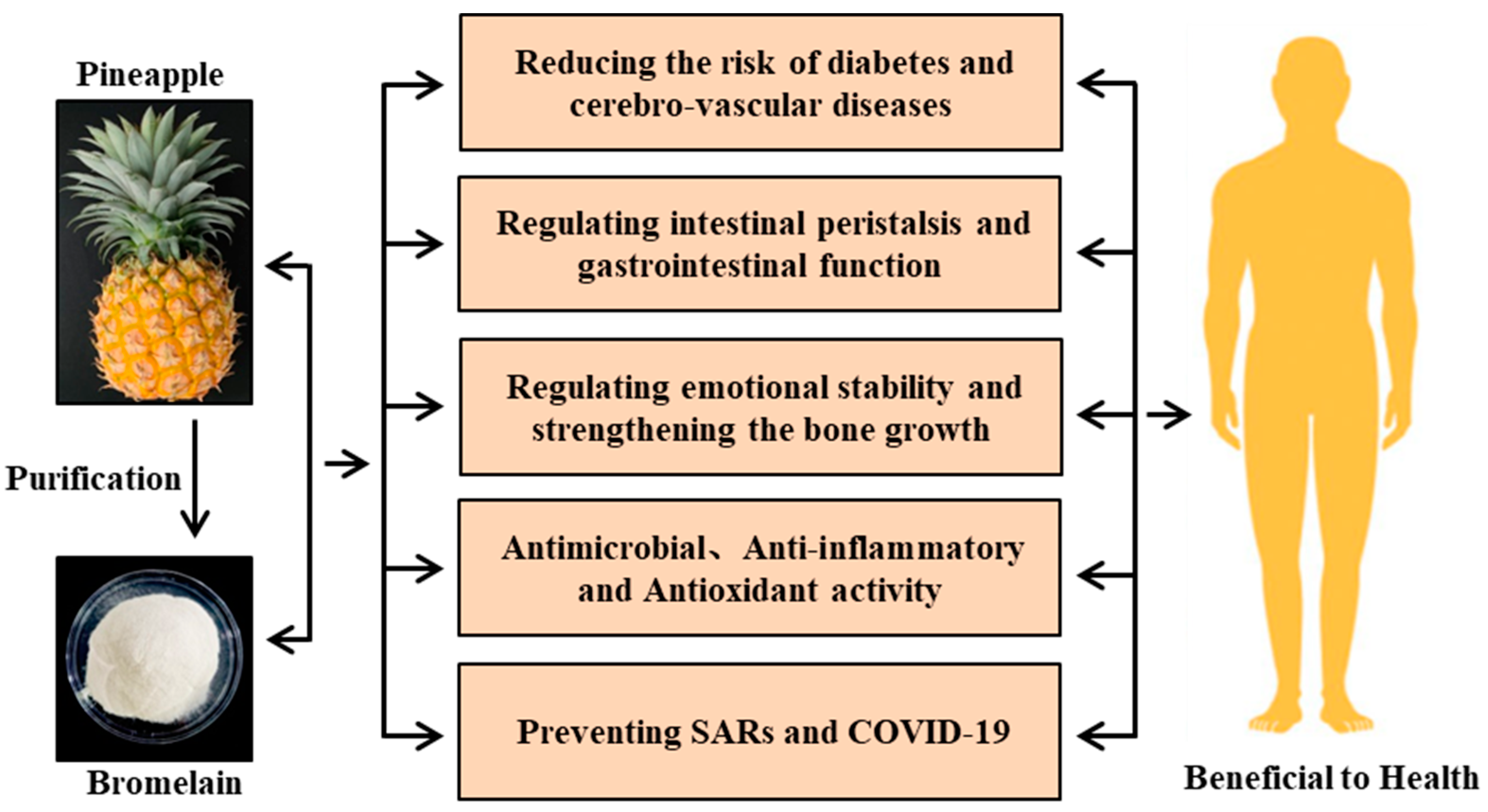 Agronomy 14 02755 g002