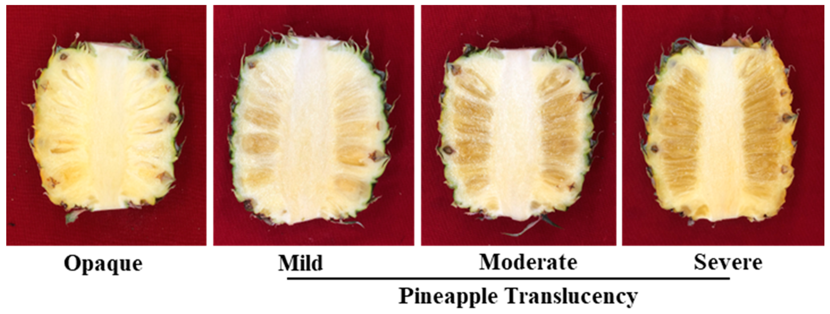 Agronomy 14 02755 g003