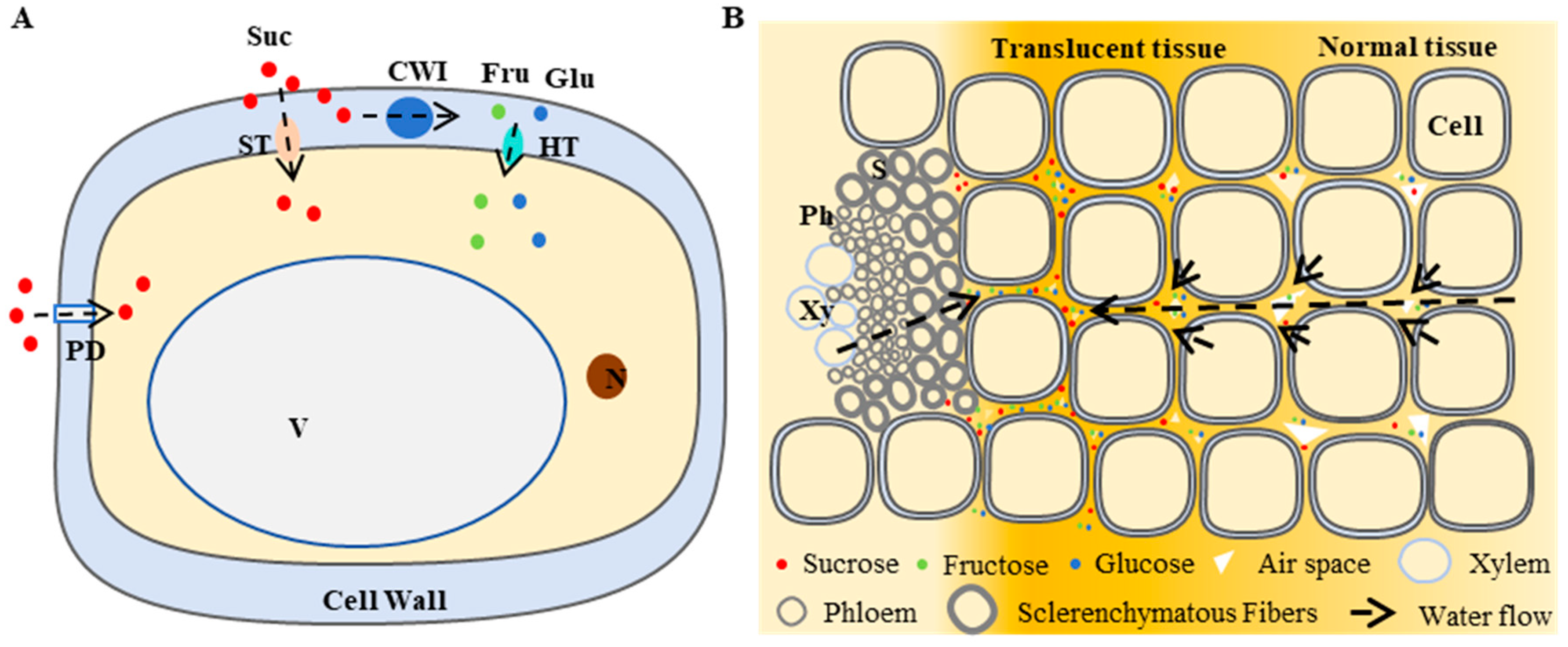 Agronomy 14 02755 g004