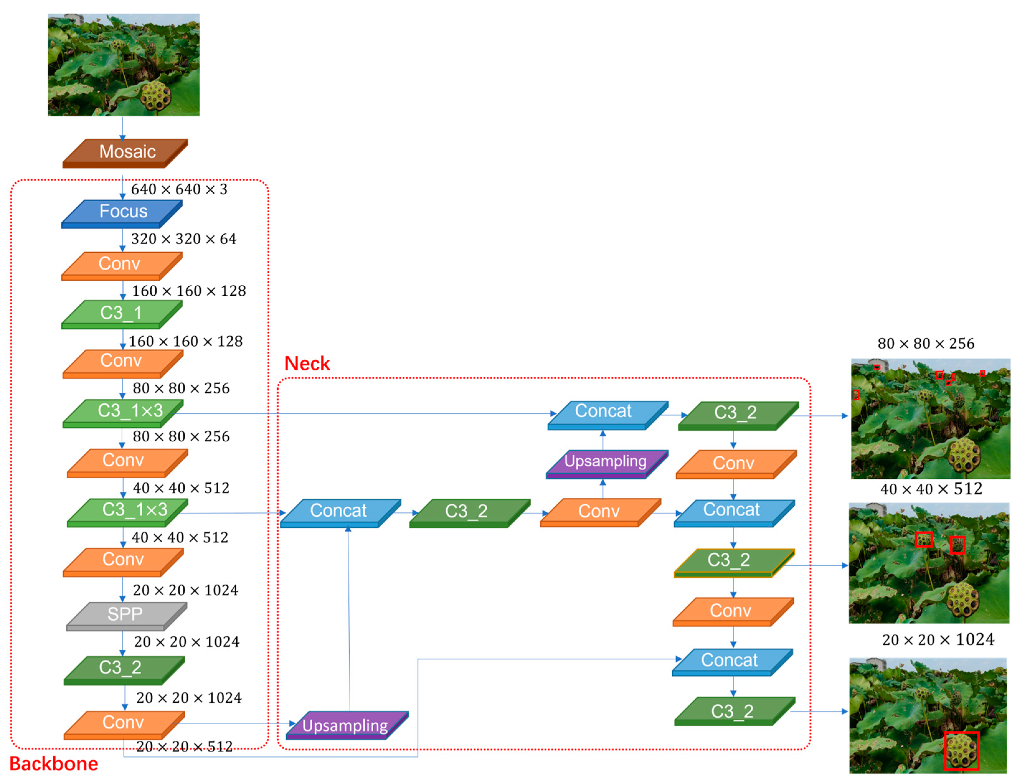 Agronomy 14 02783 g005 Agronomy 14 02783 g005