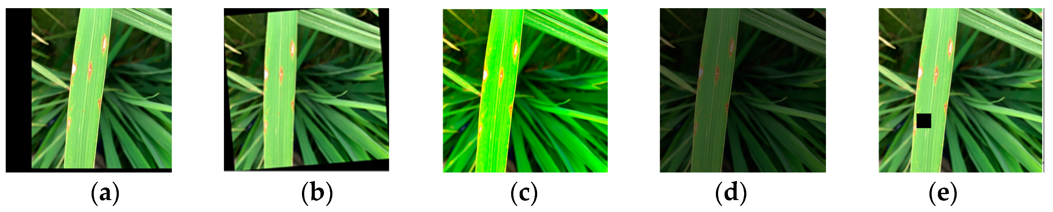 Agronomy 14 02796 g003