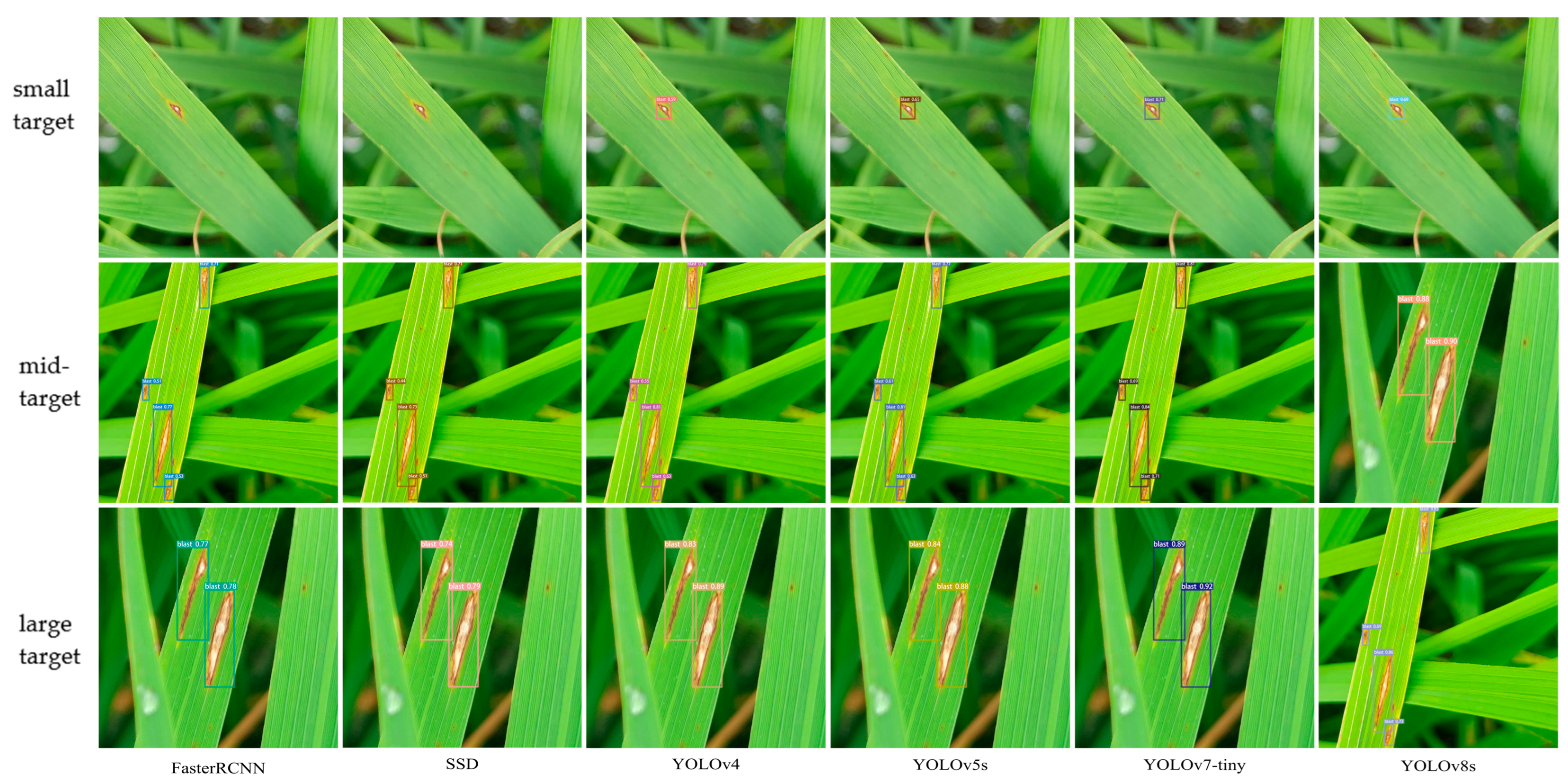 Agronomy 14 02796 g005