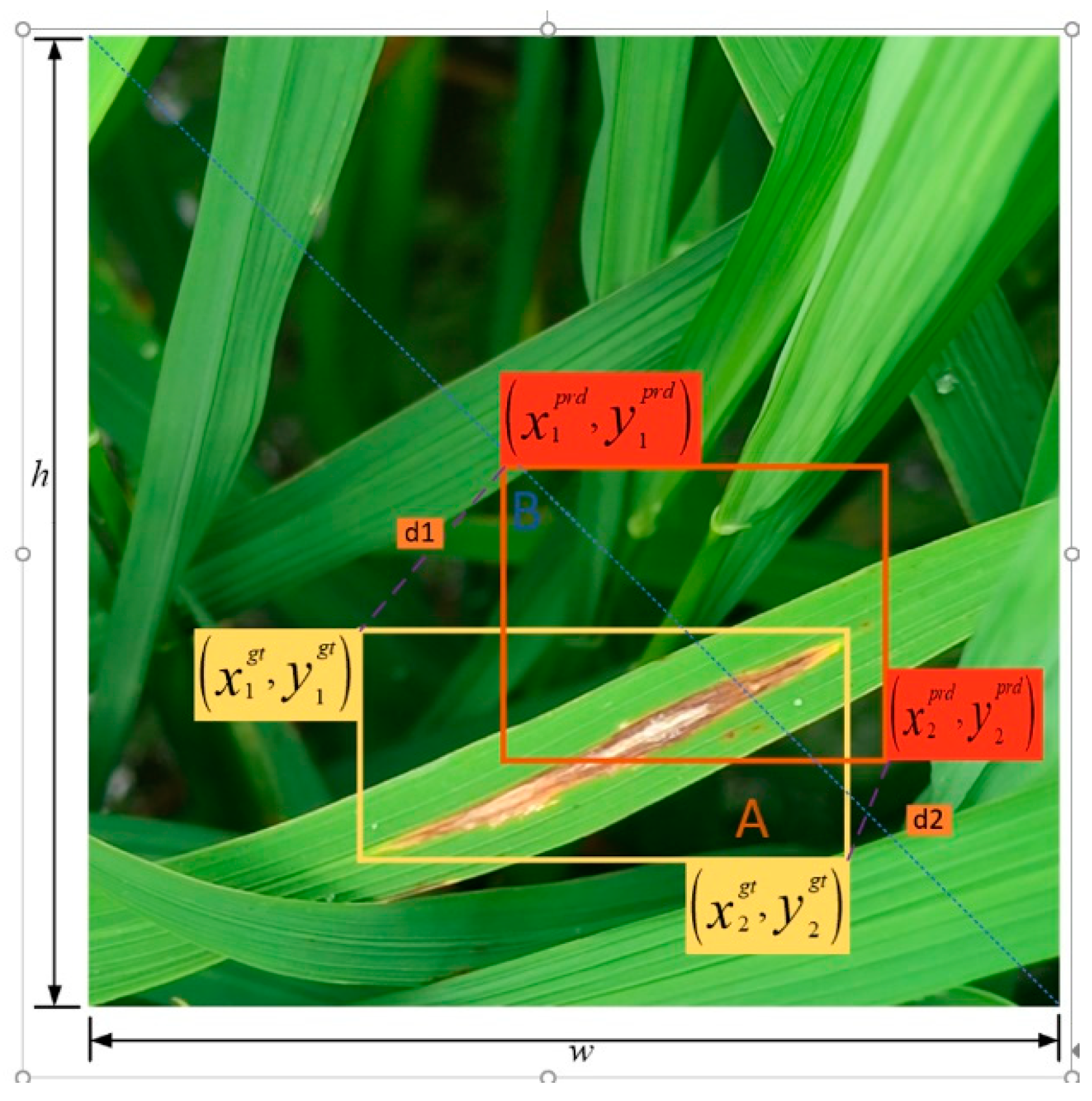 Agronomy 14 02796 g013