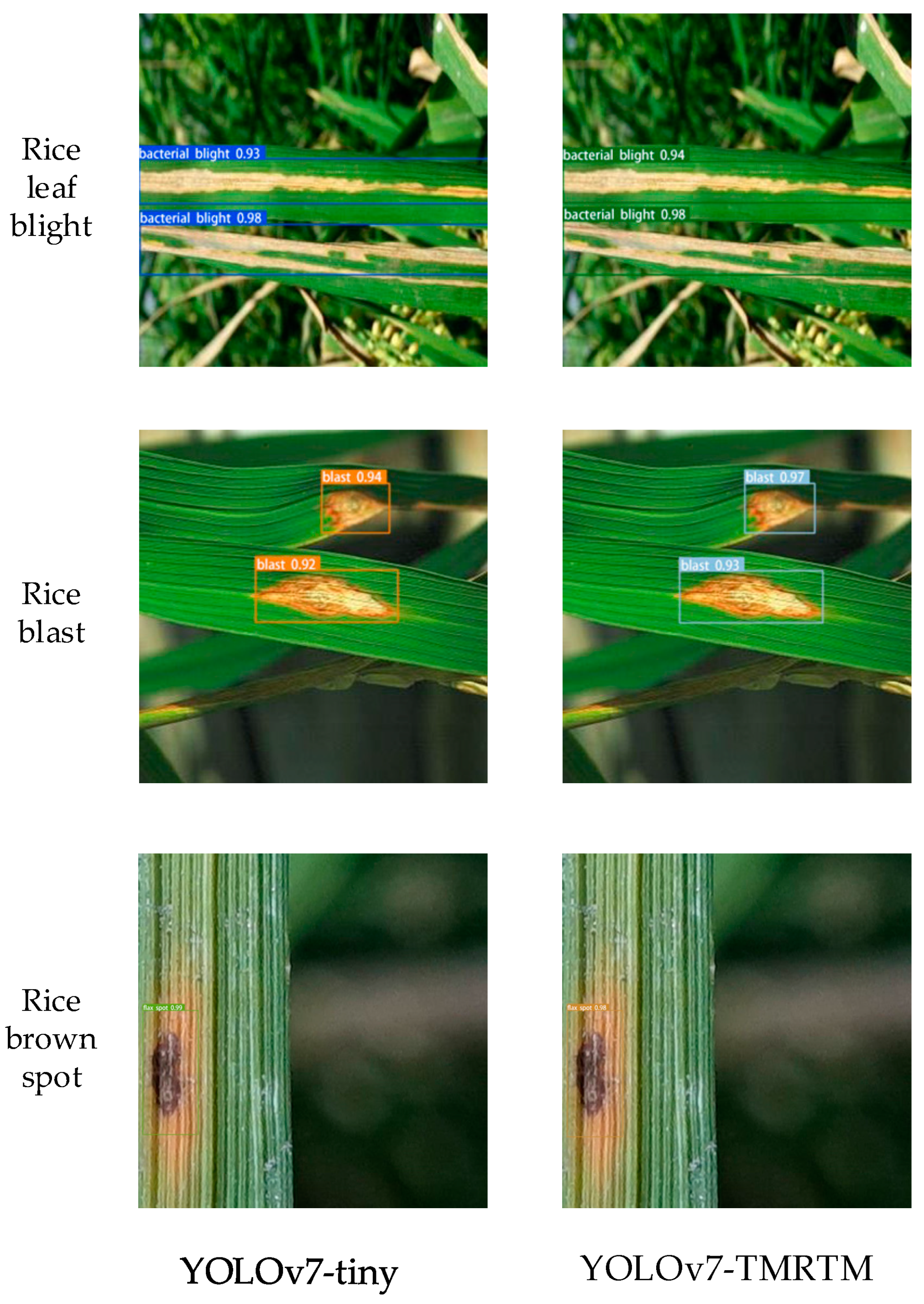 Agronomy 14 02796 g014