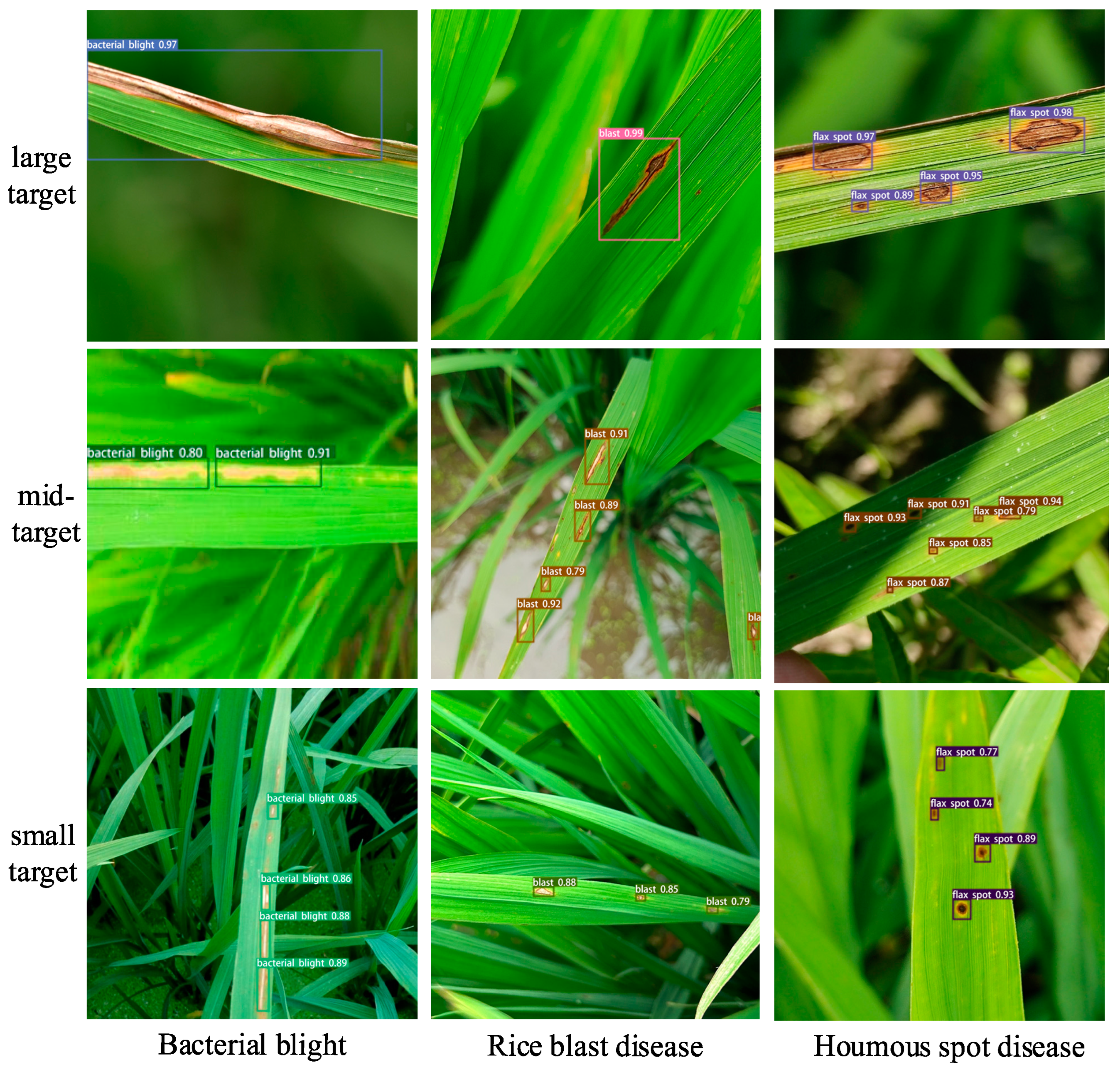 Agronomy 14 02796 g016