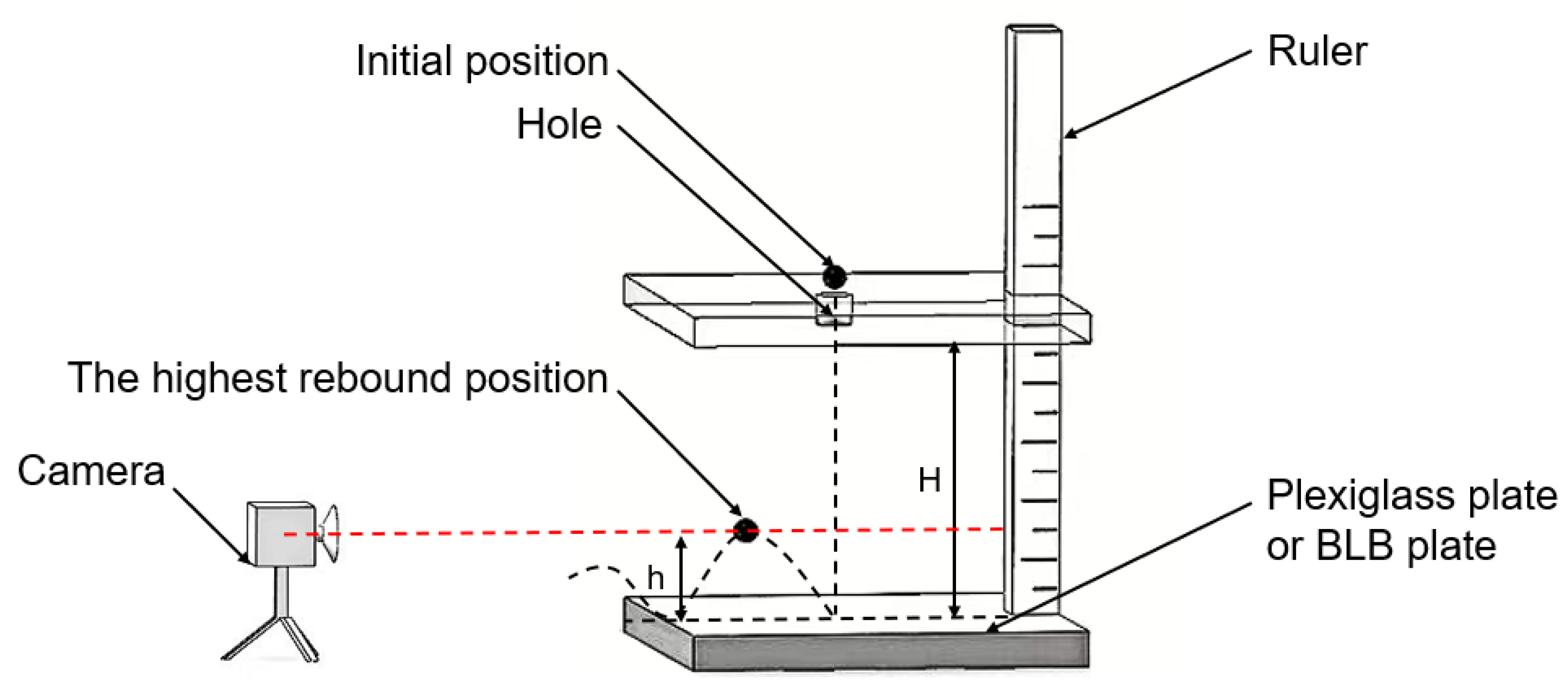 Agronomy 14 02803 g002