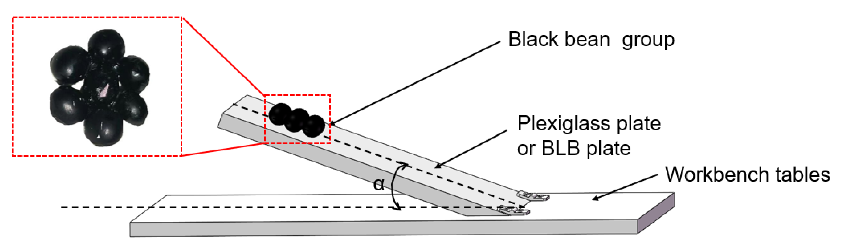 Agronomy 14 02803 g003