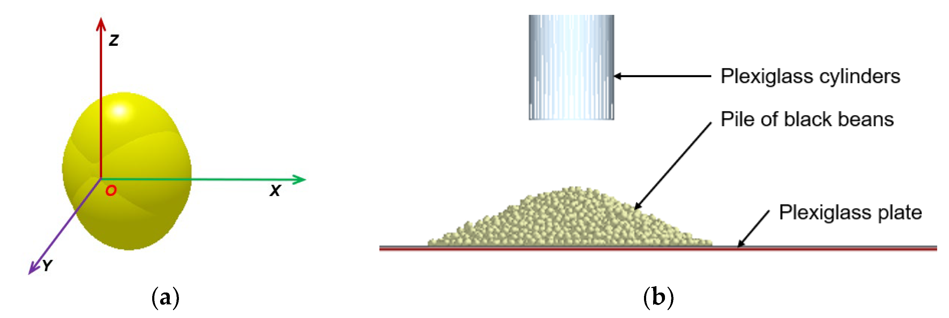Agronomy 14 02803 g006