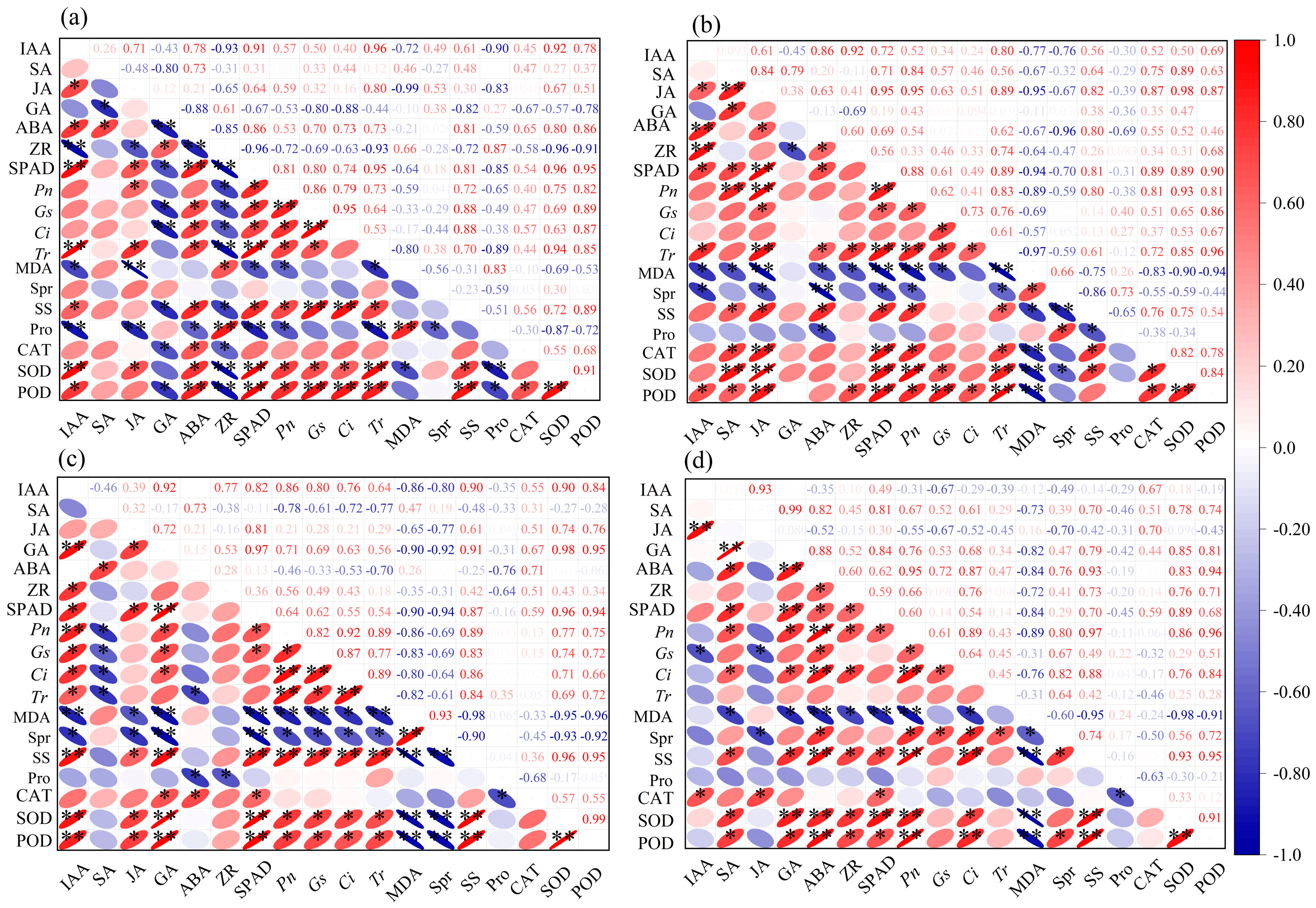 Agronomy 14 02816 g005