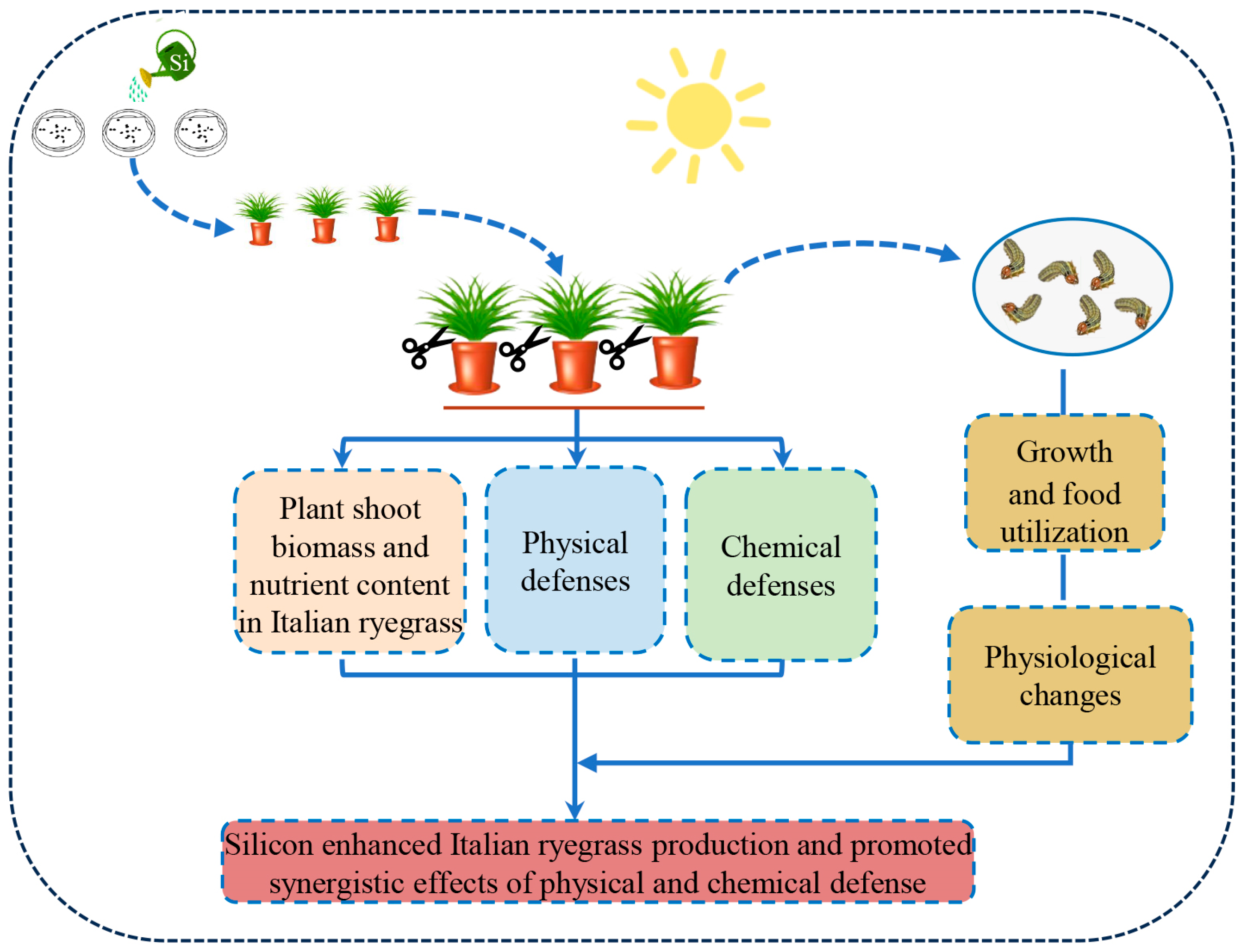 Agronomy 14 02827 g010